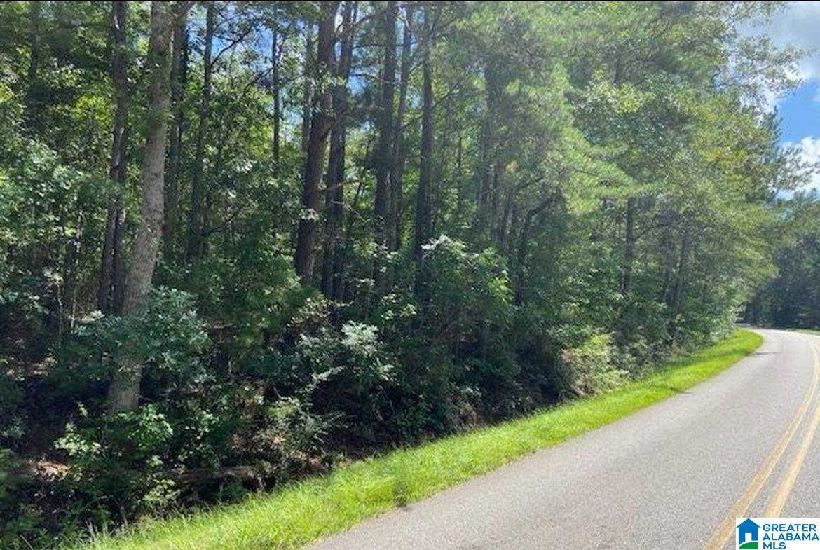 Homes for sale in Clanton, AL | 0 County Rd 458 County Road, Clanton, AL 35046 | MLS# 21429159