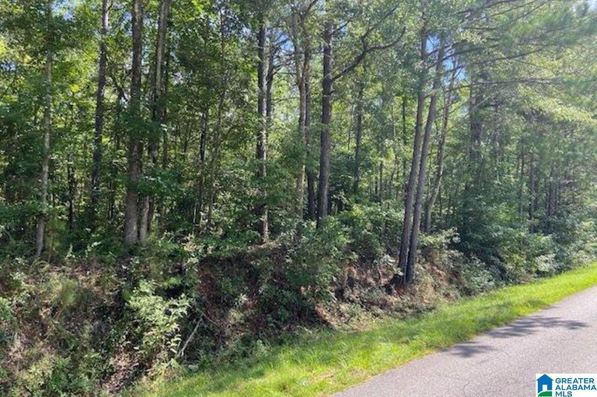 Homes for sale in Clanton, AL | 0 County Rd 458 County Road, Clanton, AL 35046 | MLS# 21429159