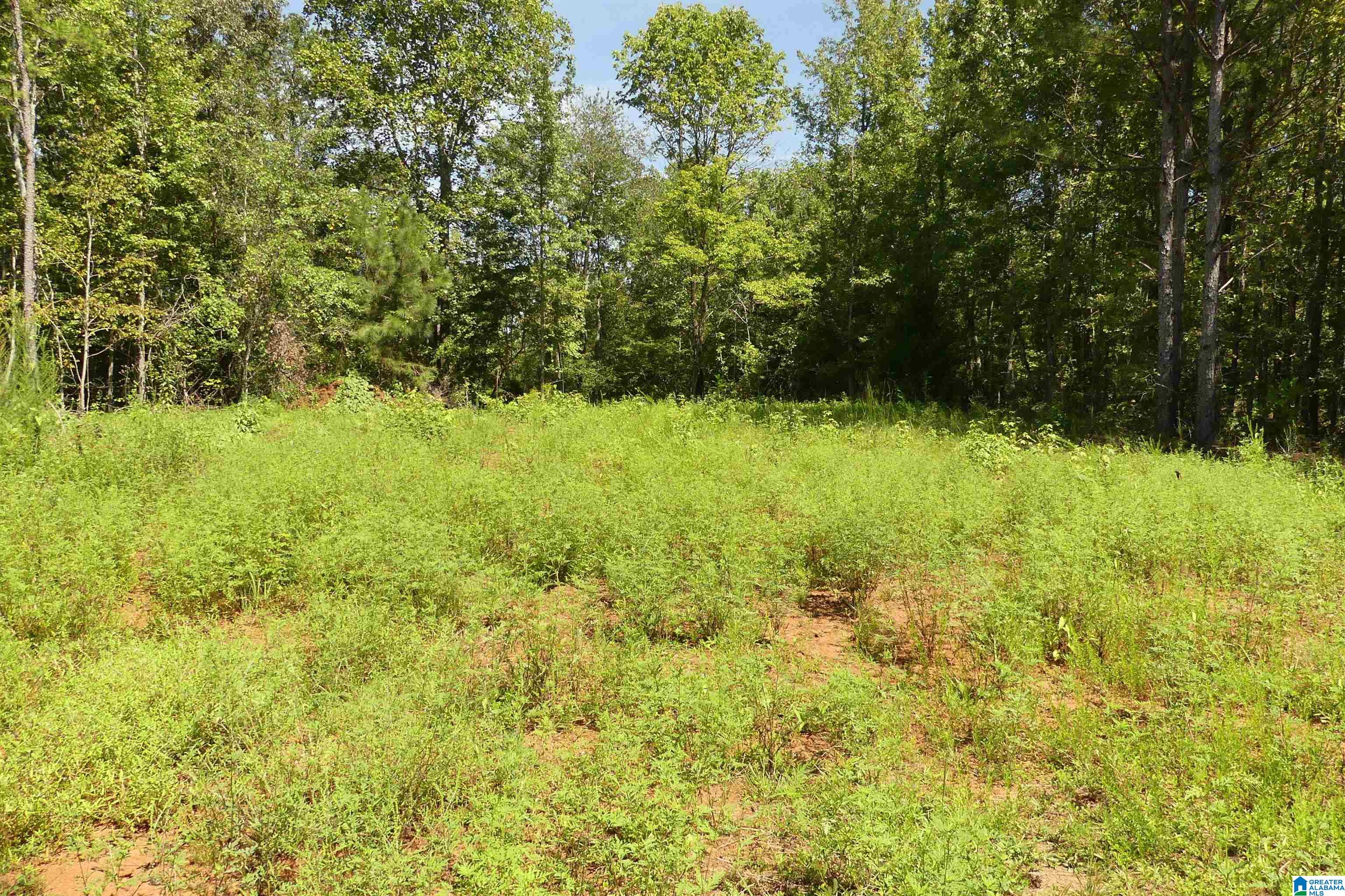 Homes for sale in Wedowee, AL | Lot 33 River Breeze, Wedowee, AL 36278 | MLS# 21429269