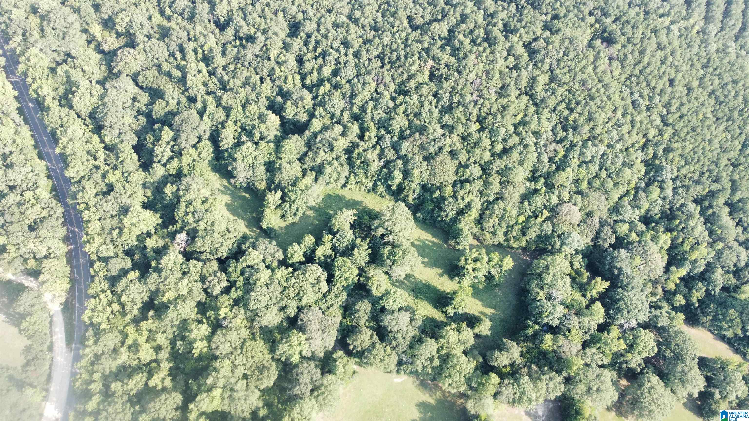 Homes for sale in Columbiana, AL | 0 County Road 26, Columbiana, AL 35051 | MLS# 21429271