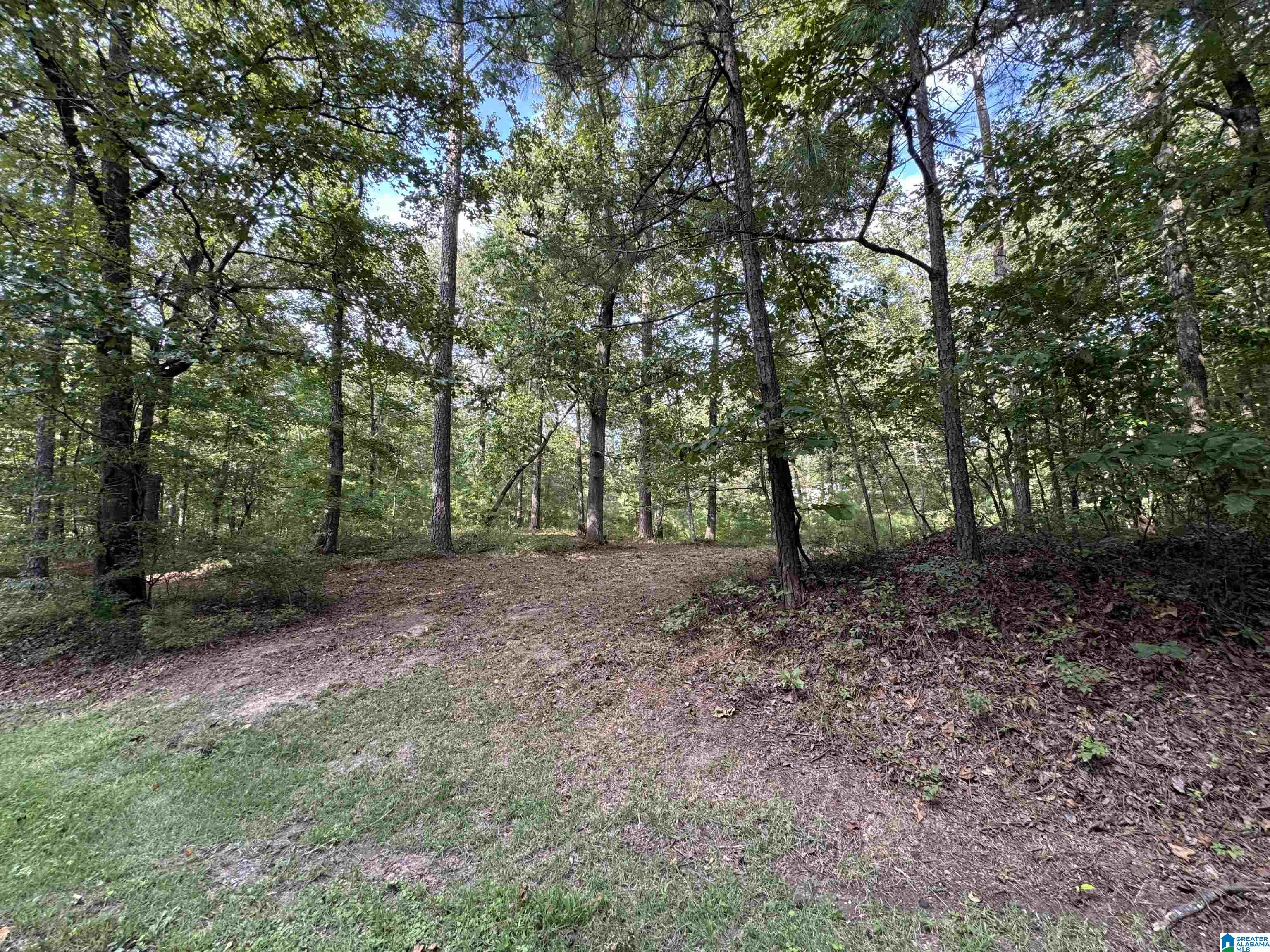 658 GRIFFIN ROAD