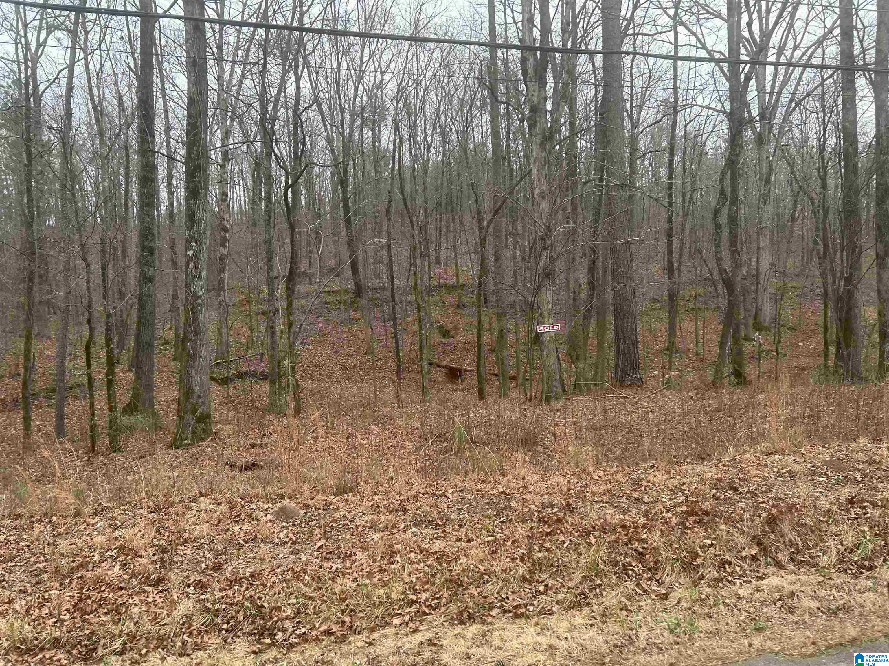 Homes for sale in Gardendale, AL | 4507 Shady Grove Road, Gardendale, AL 35071 | MLS# 21429332