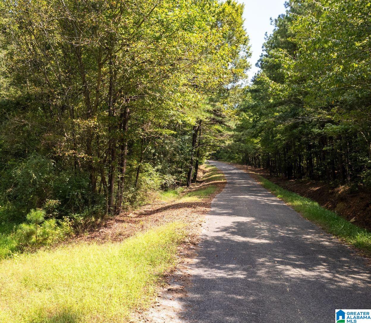 62 ACRES TONEY DRIVE