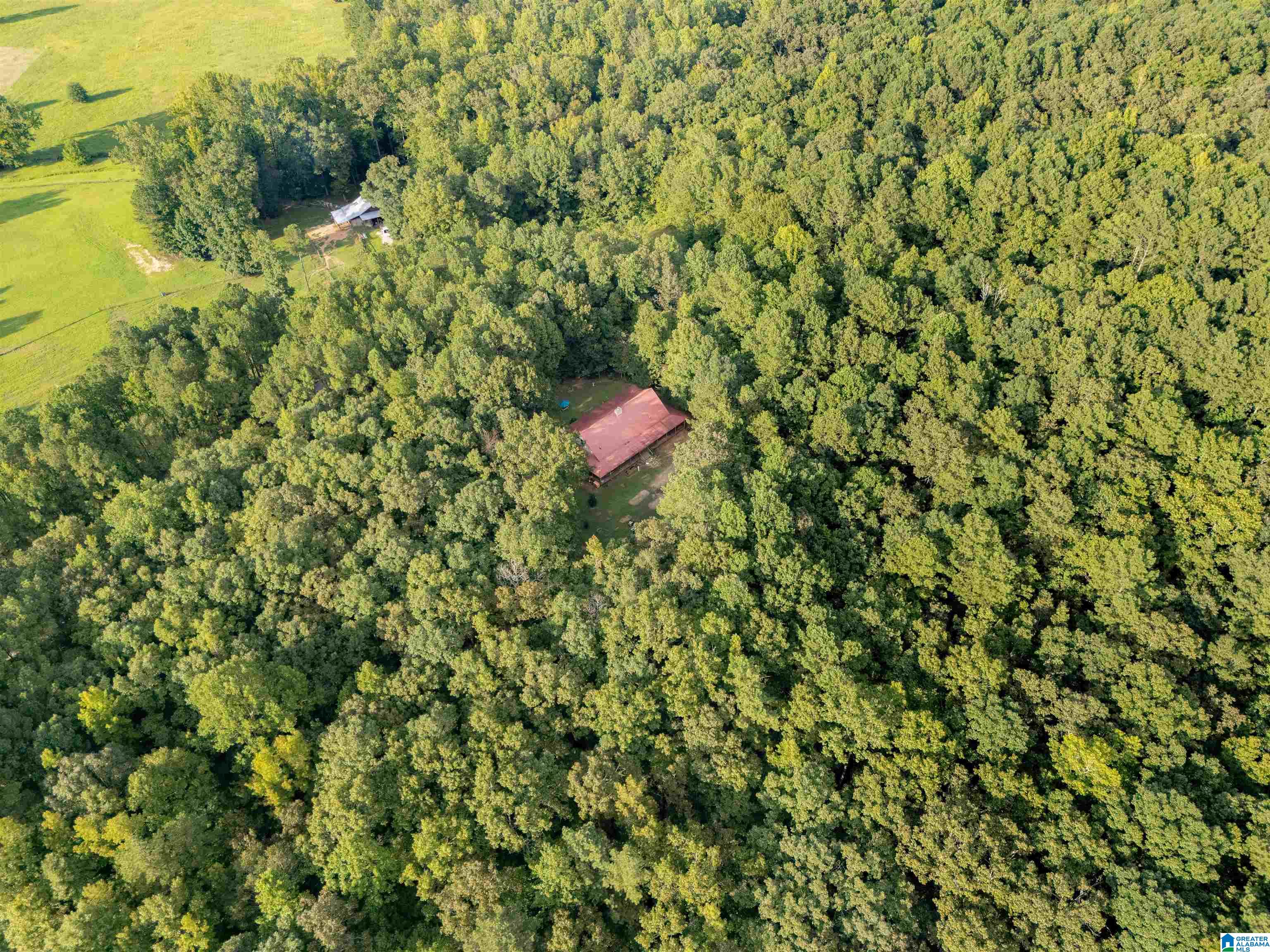 263 County Road 436