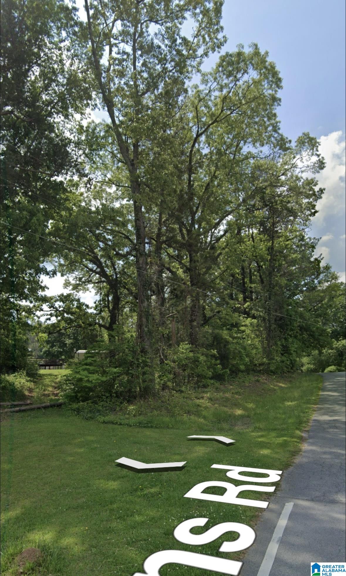 Homes for sale in Ashland, AL | 0 Owens Road, Ashland, AL 36251 | MLS# 21429621