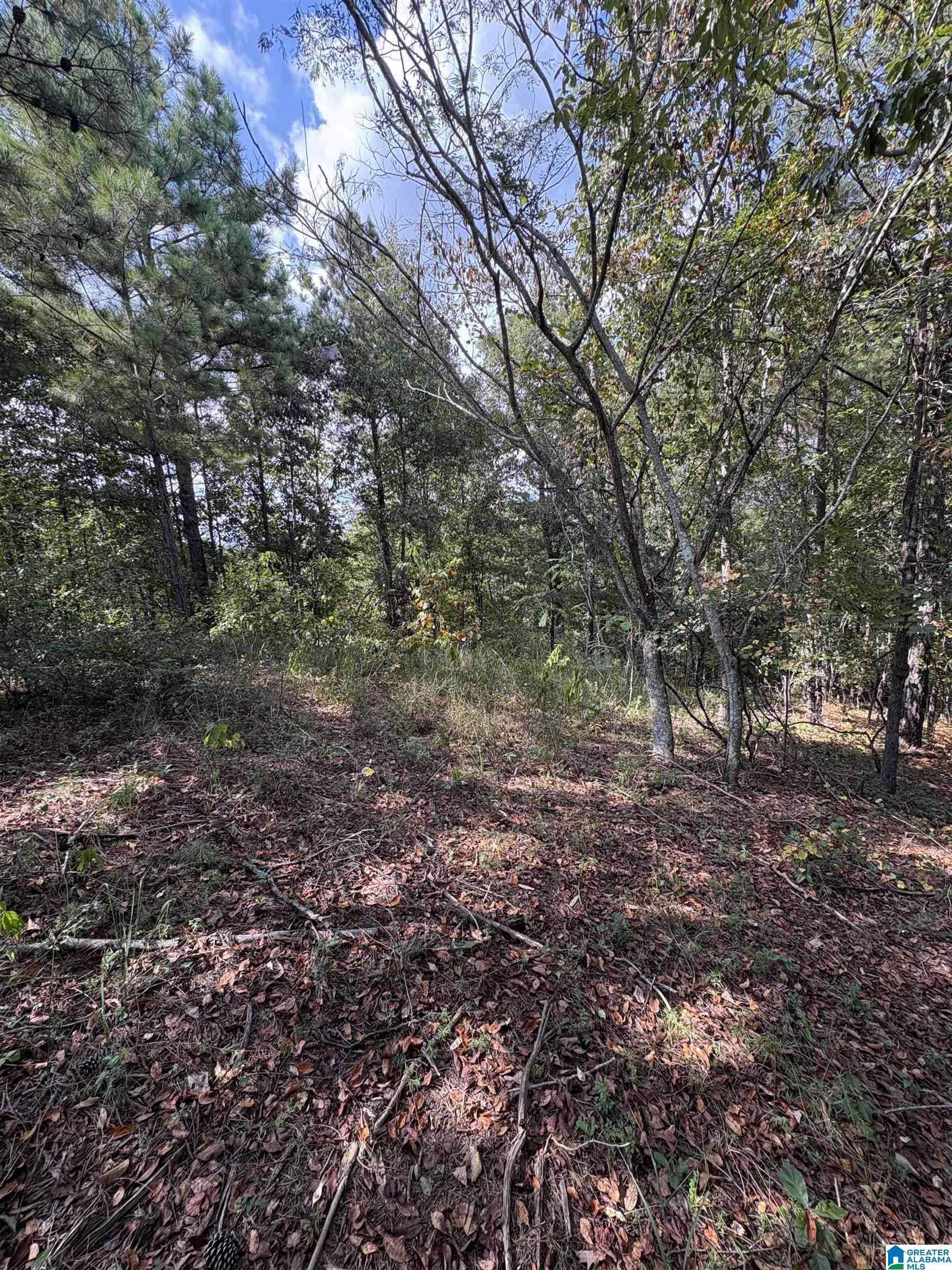 Homes for sale in Mc Calla, AL | 5991 Fletcher Road, Mc Calla, AL 35111 | MLS# 21429680