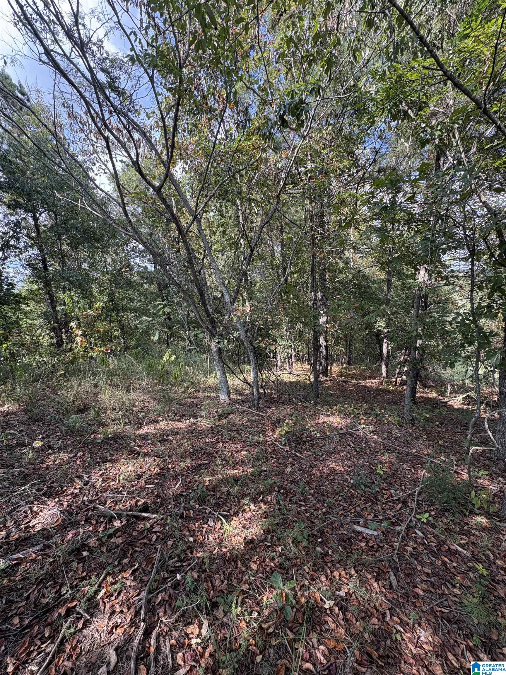 Homes for sale in Mc Calla, AL | 5991 Fletcher Road, Mc Calla, AL 35111 | MLS# 21429680