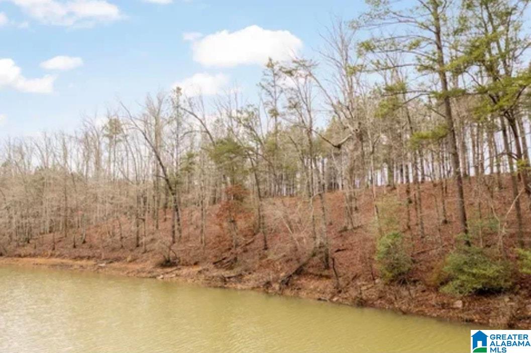 Homes for sale in Double Springs, AL | Shoreside Dr, Double Springs, AL 35553 | MLS# 21429729