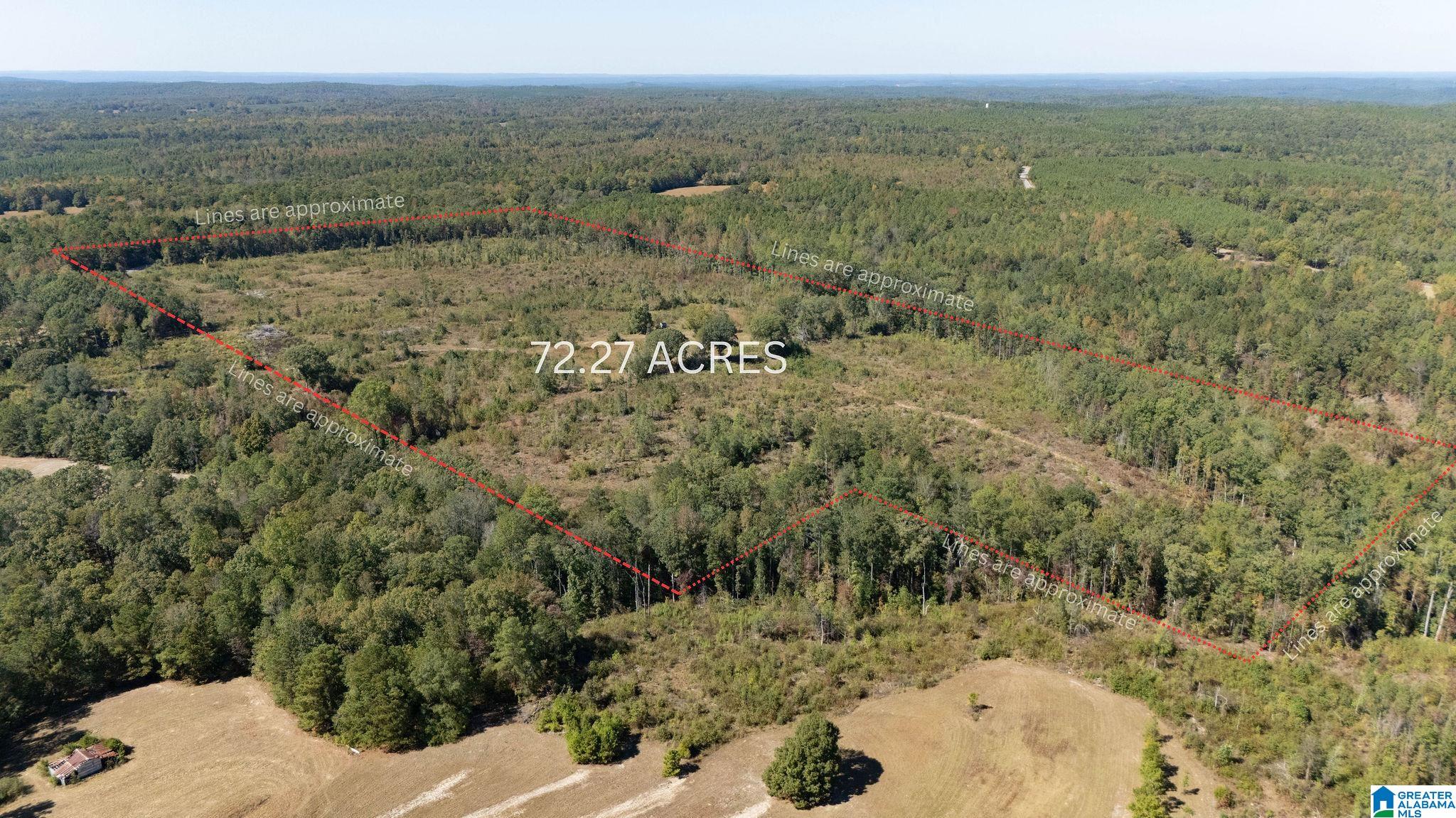 Homes for sale in Lawley, AL | 226 Hicks Hill, Lawley, AL 36793 | MLS# 21429850