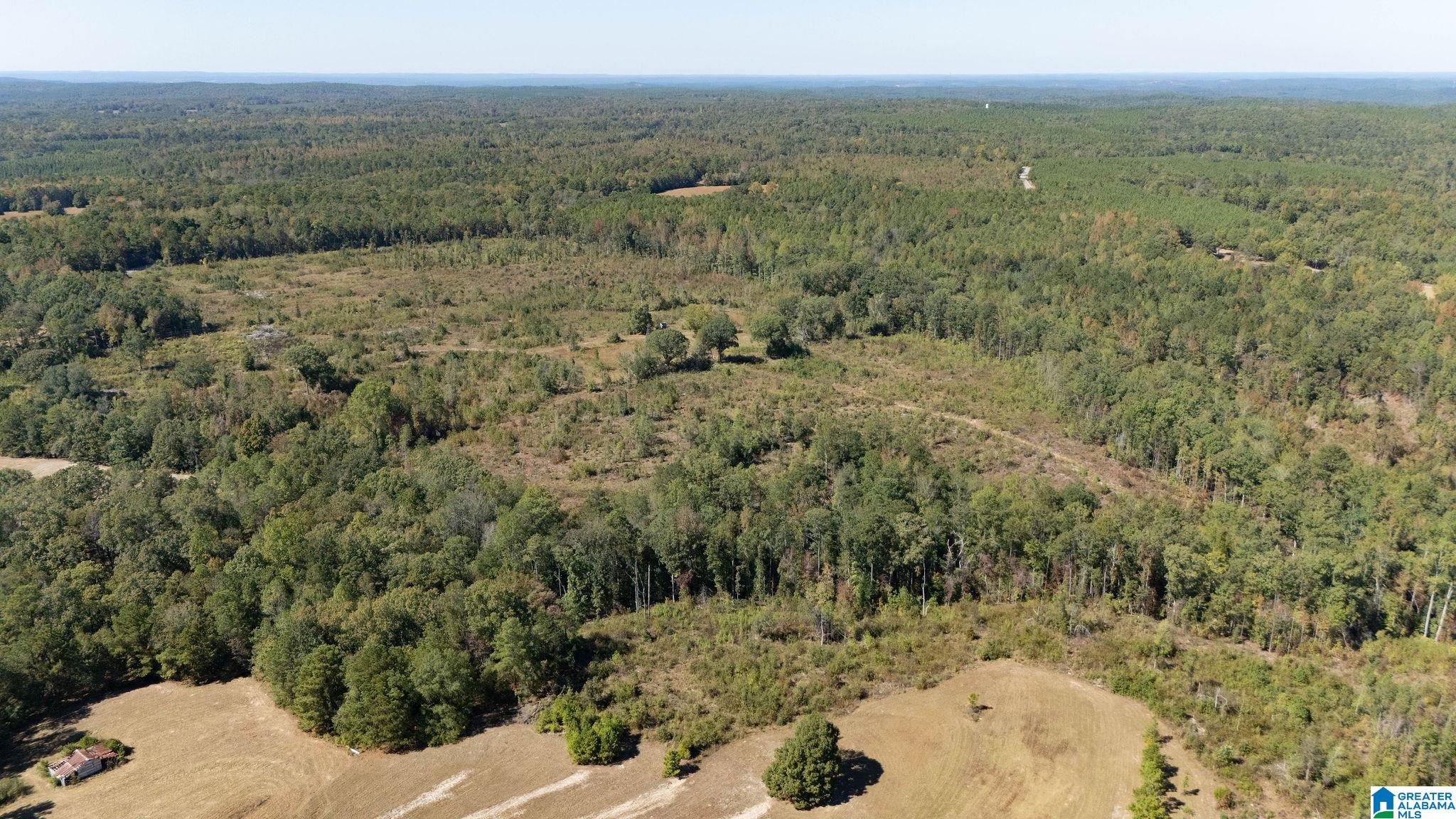 Homes for sale in Lawley, AL | 226 Hicks Hill, Lawley, AL 36793 | MLS# 21429850
