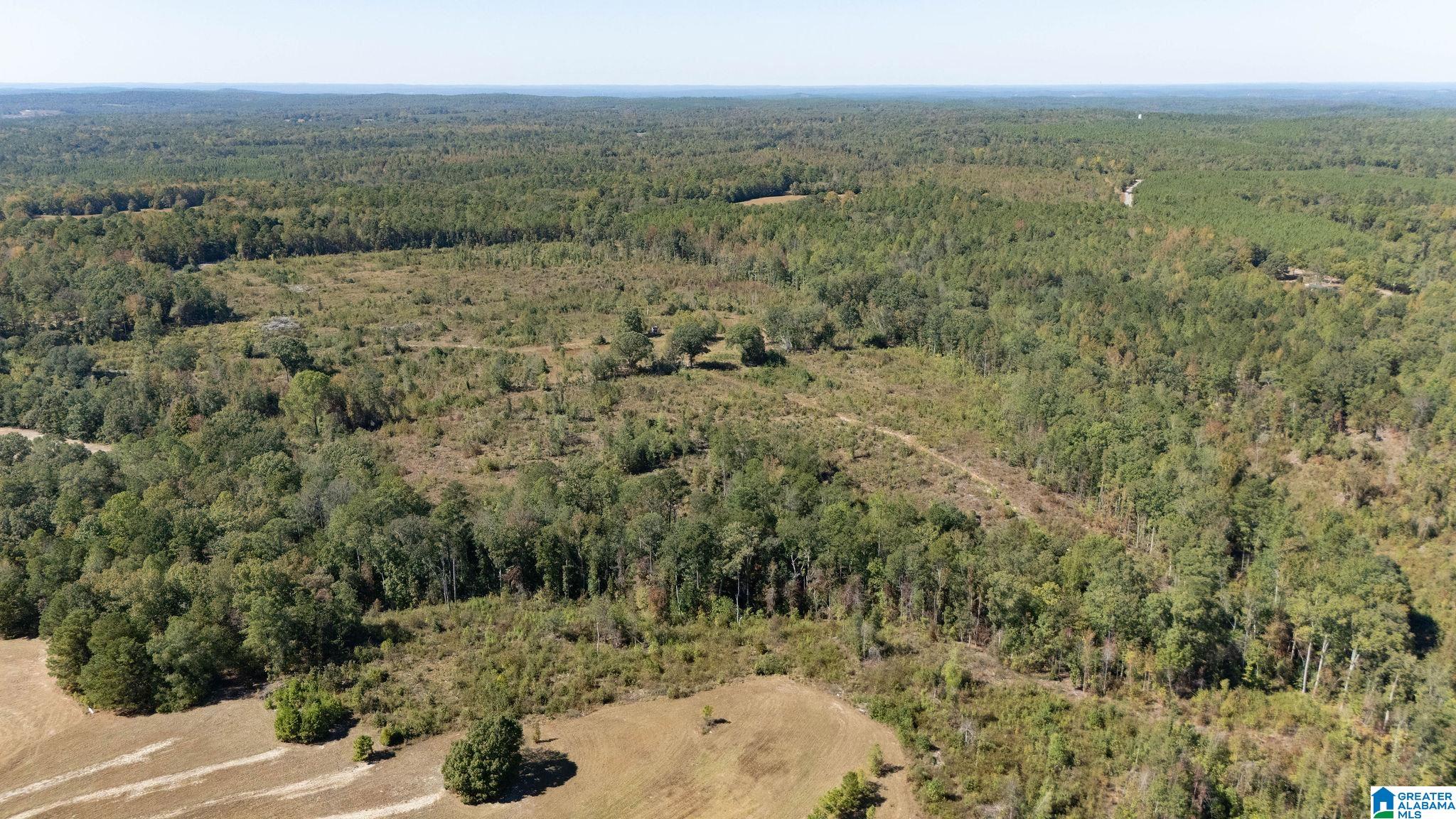 Homes for sale in Lawley, AL | 226 Hicks Hill, Lawley, AL 36793 | MLS# 21429850