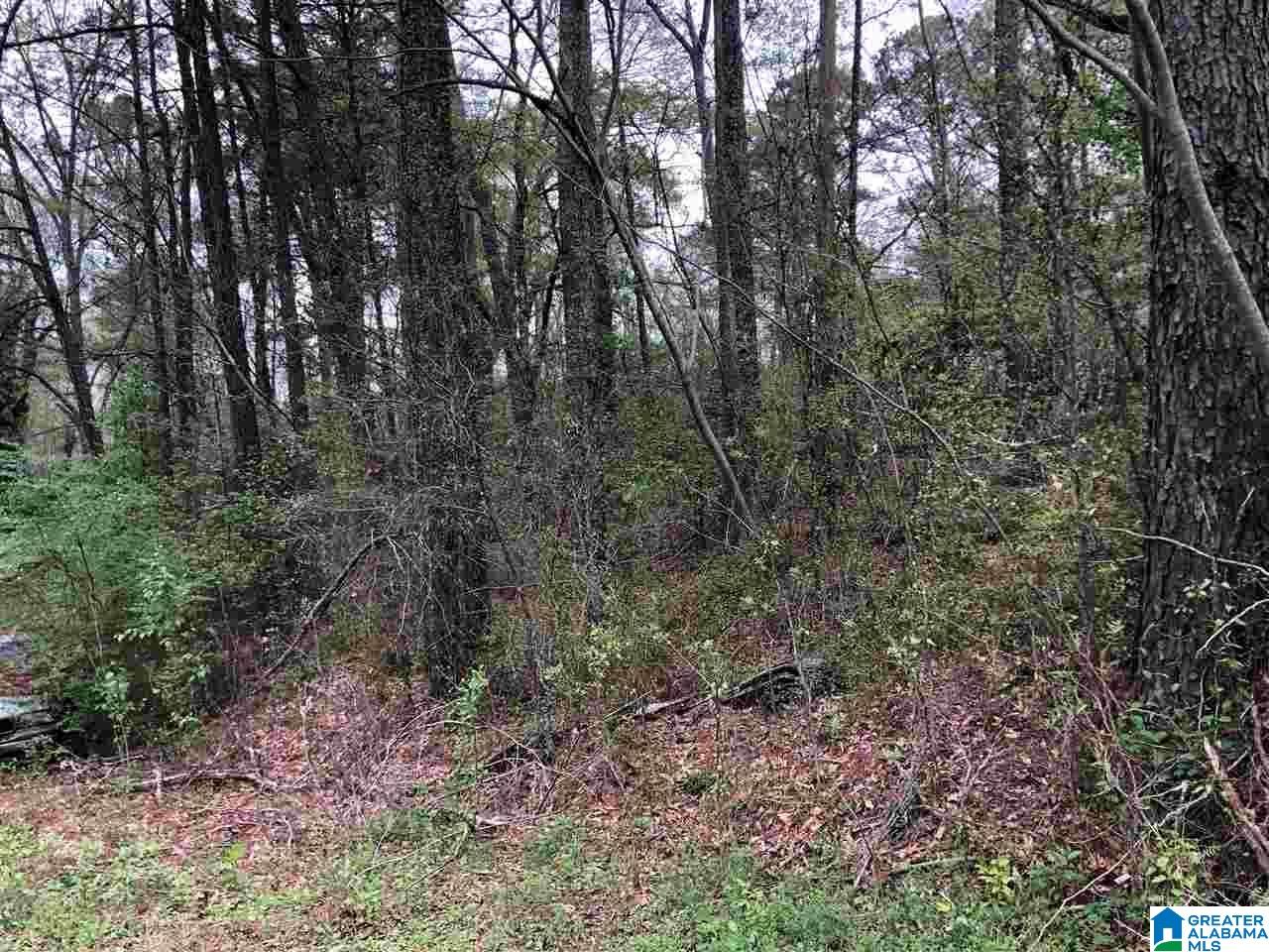 725 CARL RAINES LAKE ROAD