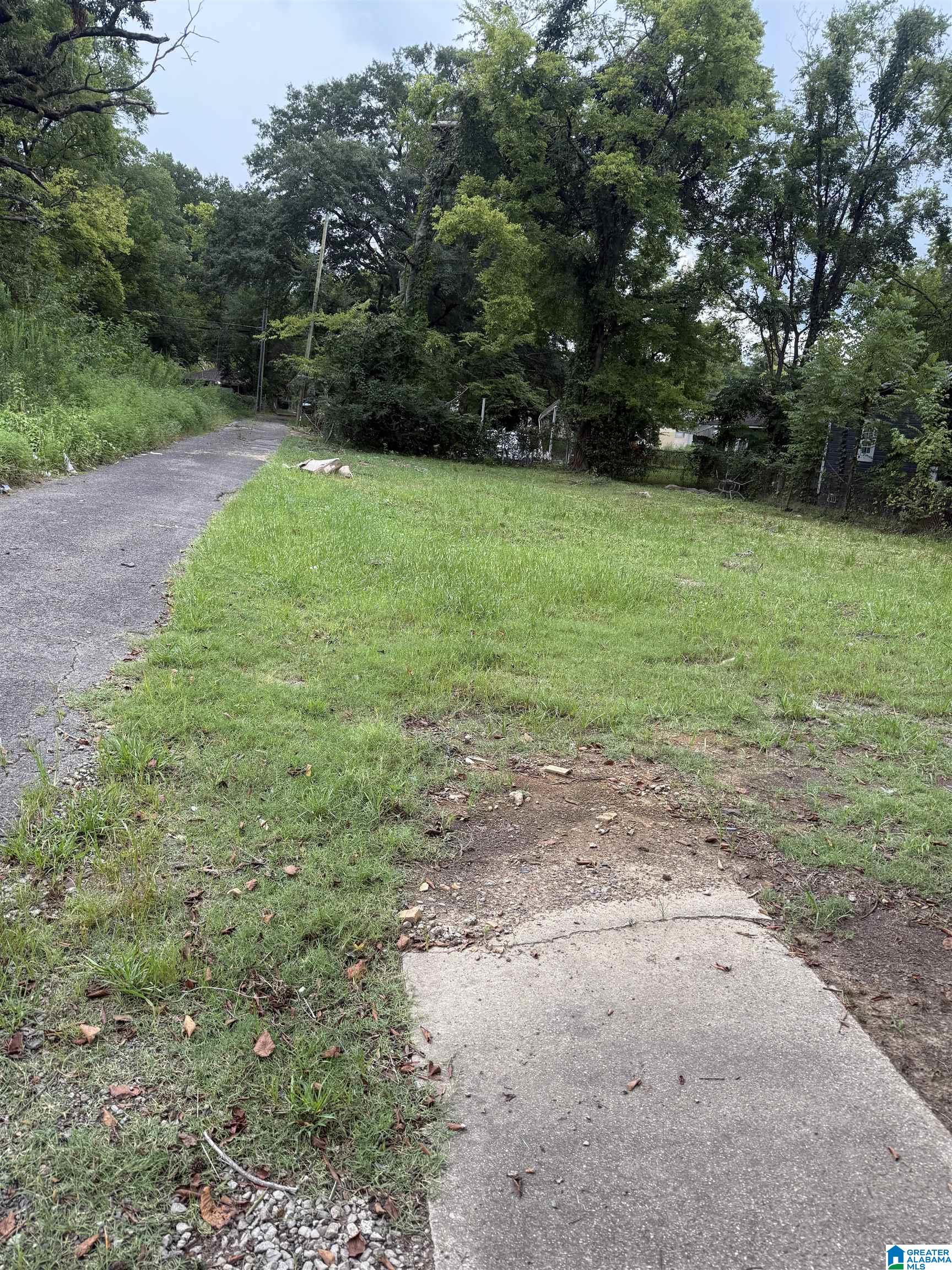Homes for sale in Birmingham, AL | 1233 Woodland Avenue Sw, Birmingham, AL 35211 | MLS# 21429881