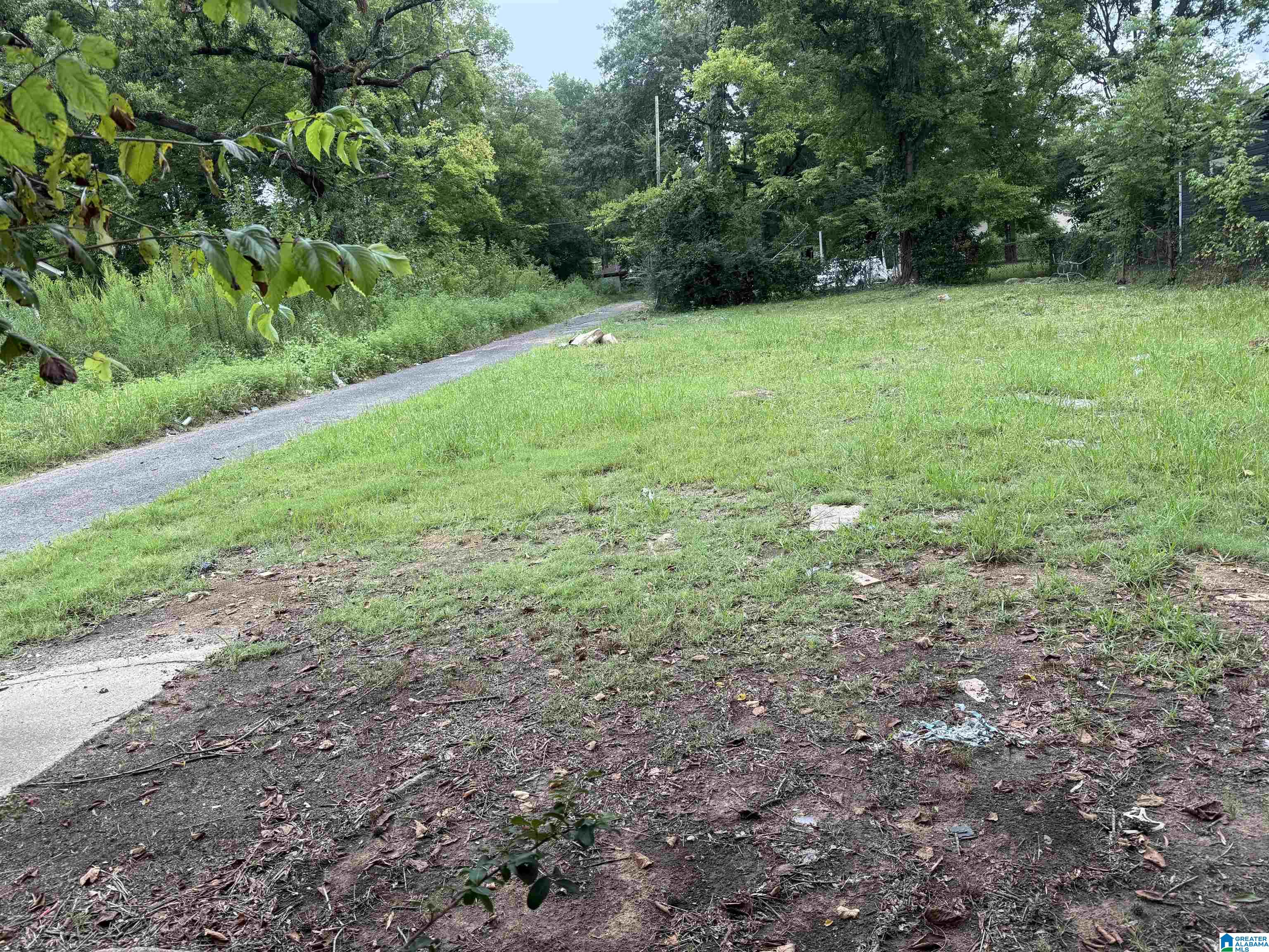 Homes for sale in Birmingham, AL | 1233 Woodland Avenue Sw, Birmingham, AL 35211 | MLS# 21429881