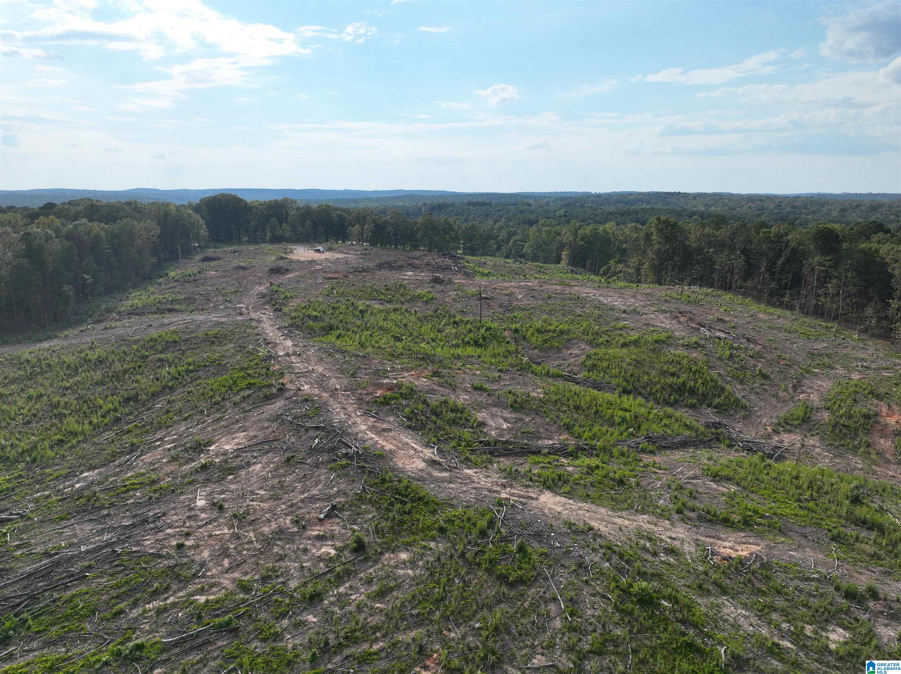 Homes for sale in Mccalla, AL | 12179 Deer Chase Road, Mccalla, AL 35111 | MLS# 21430041