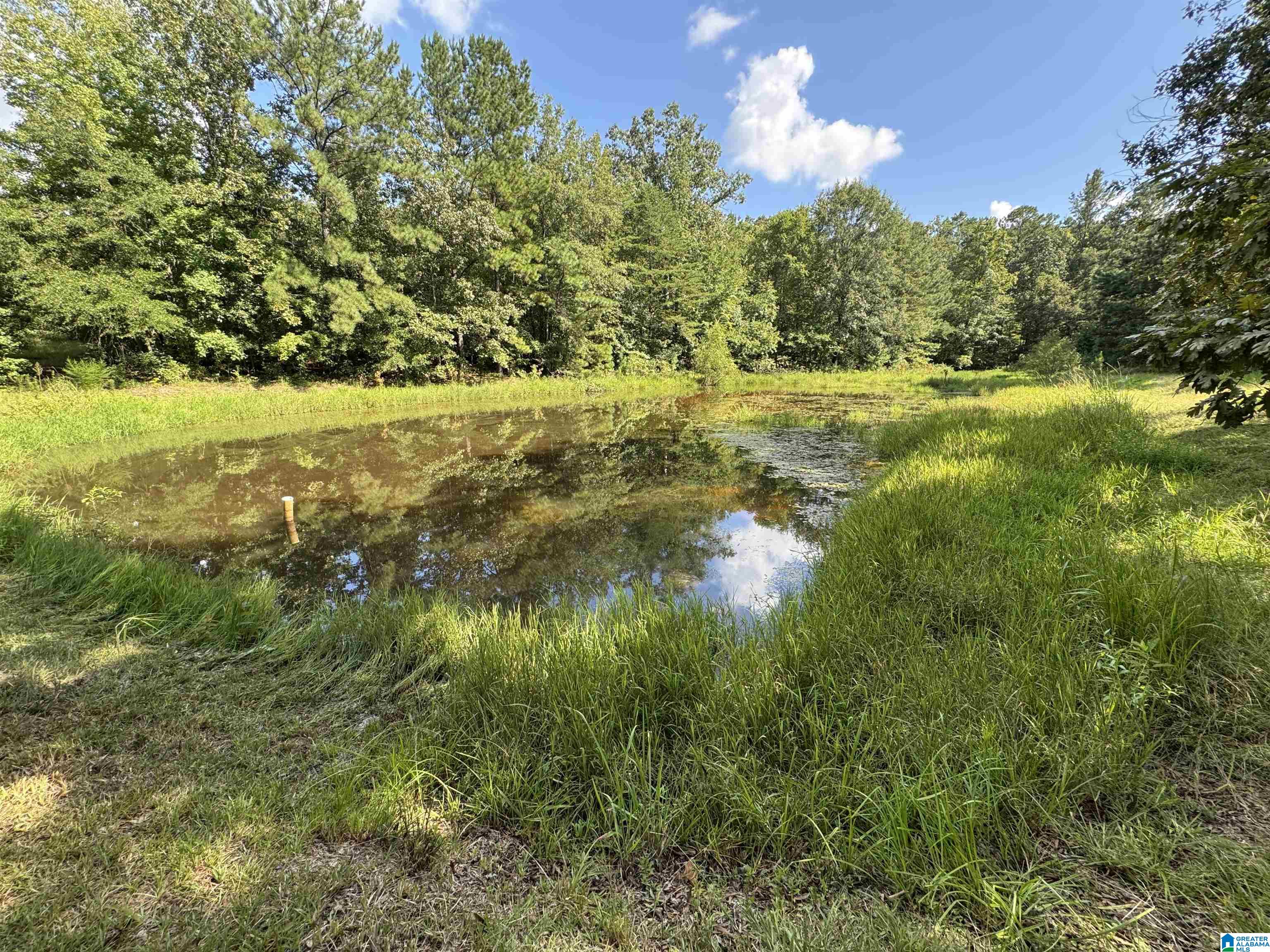 Homes for sale in Sterrett, AL | 20394 Hwy 55, Sterrett, AL 35147 | MLS# 21430108