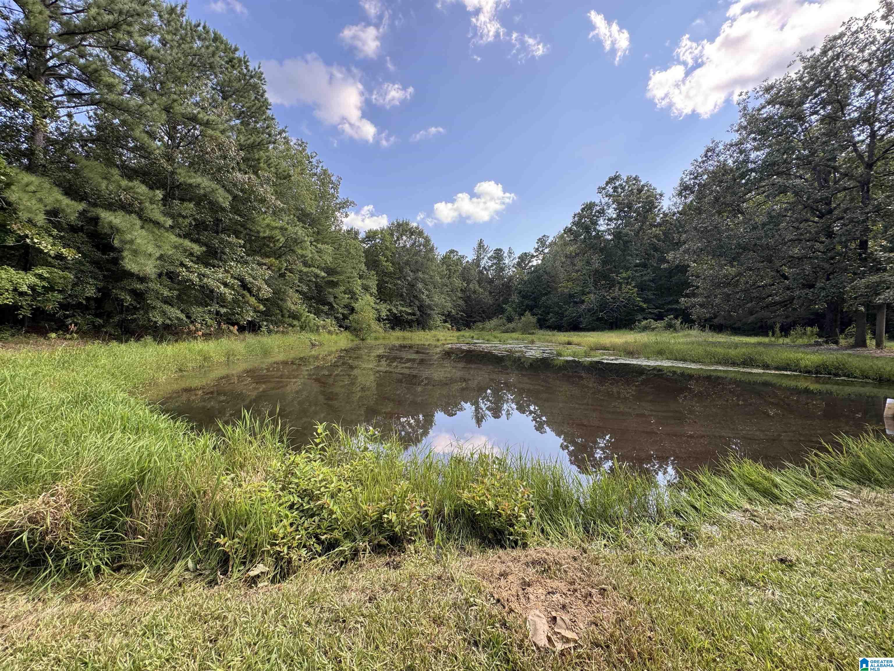 Homes for sale in Sterrett, AL | 20394 Hwy 55, Sterrett, AL 35147 | MLS# 21430108