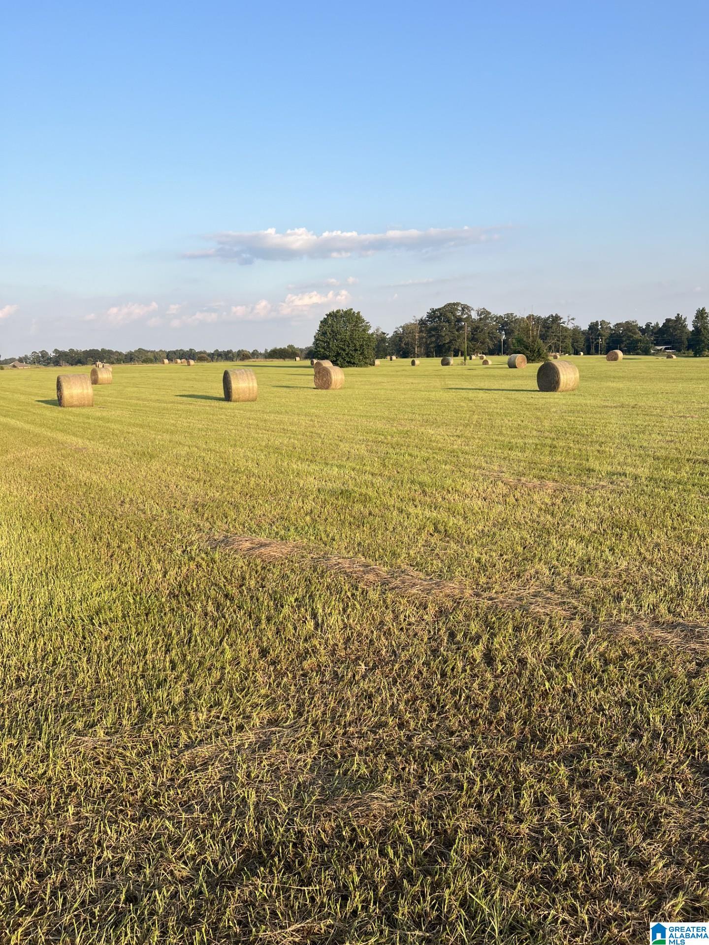 0 COUNTY ROAD 13