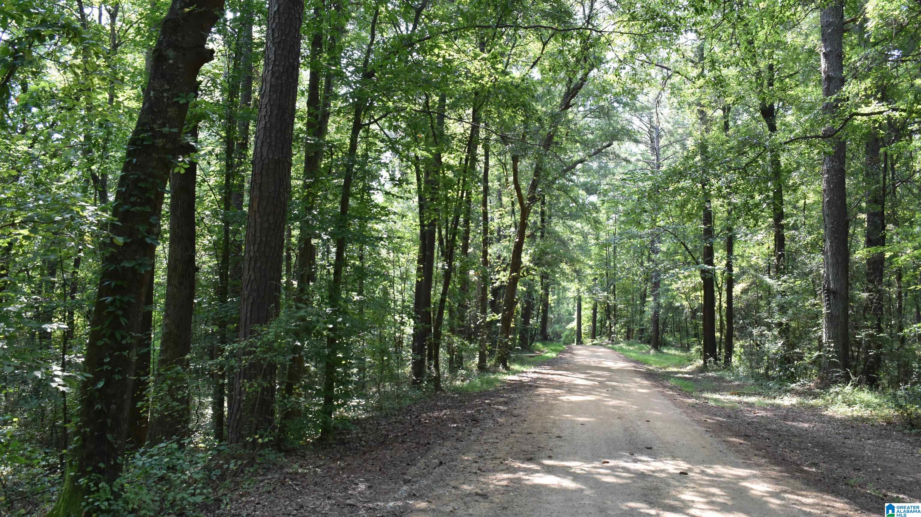 Homes for sale in Chelsea, AL | 0 Gardner Dr, Chelsea, AL 35043 | MLS# 21430376