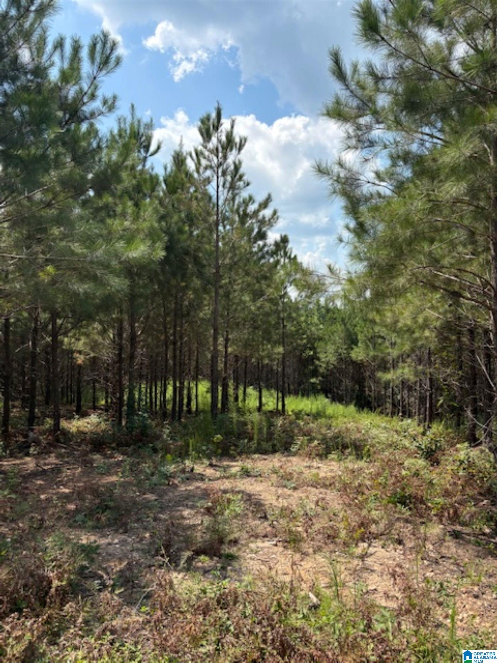 Homes for sale in Clanton, AL | County Road 472, Clanton, AL 35046 | MLS# 21430384