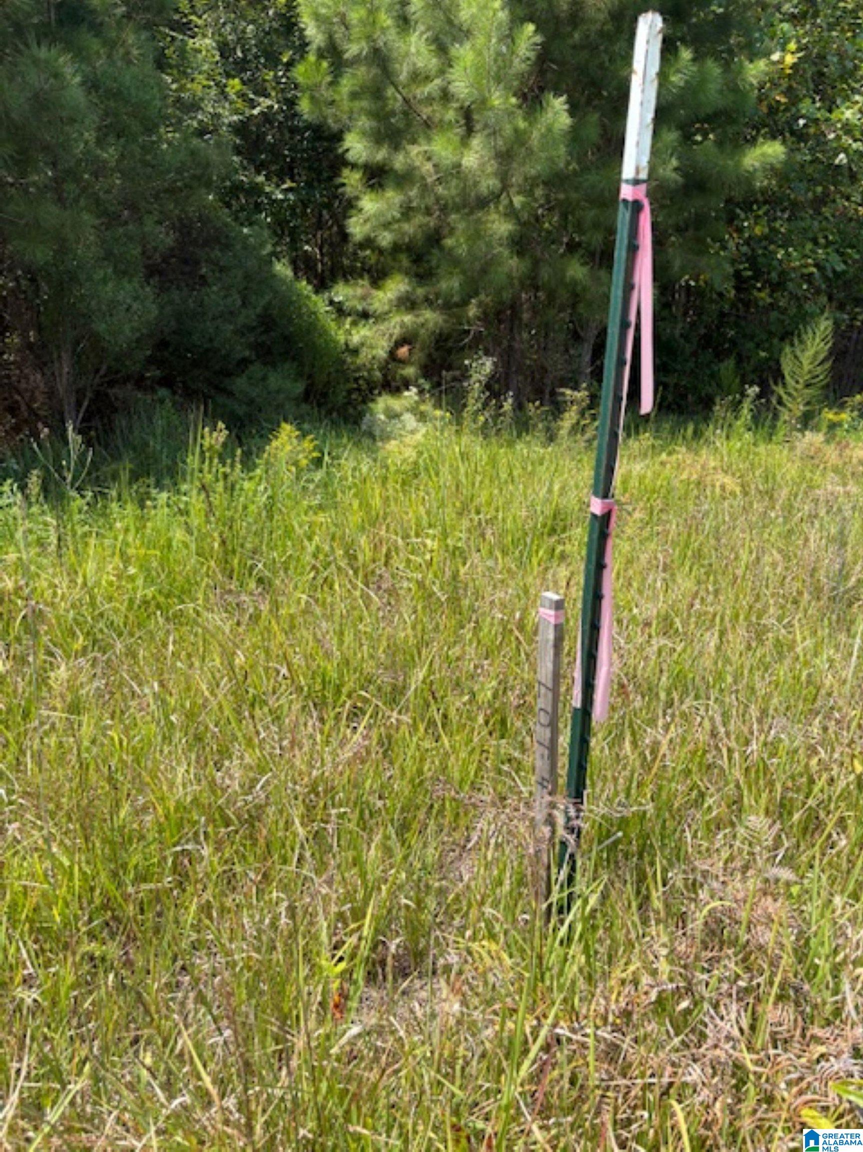 Homes for sale in Clanton, AL | County Road 472, Clanton, AL 35046 | MLS# 21430384