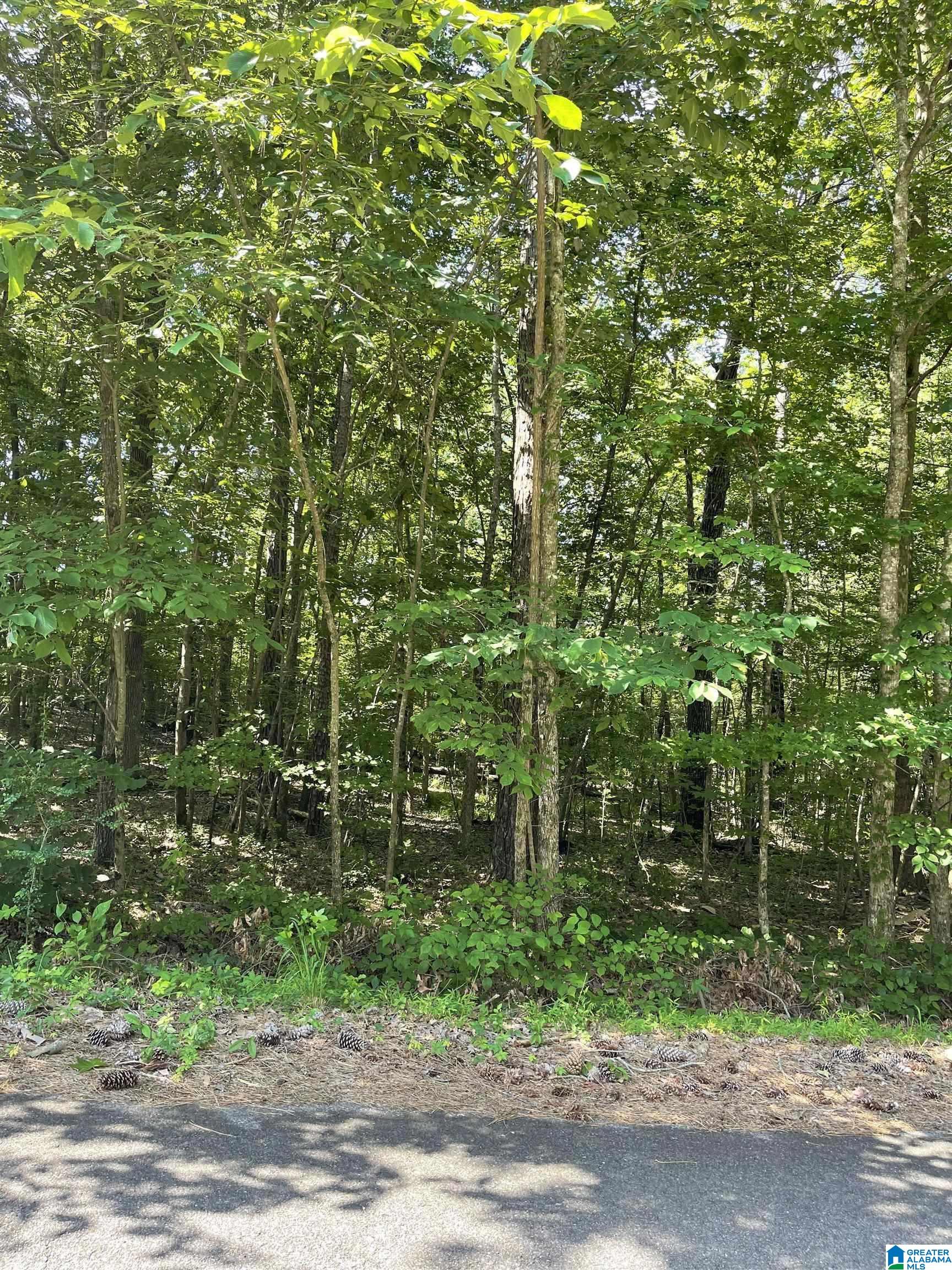 Homes for sale in Pinson, AL | 8596 Woodview Lane, Pinson, AL 35126 | MLS# 21430506