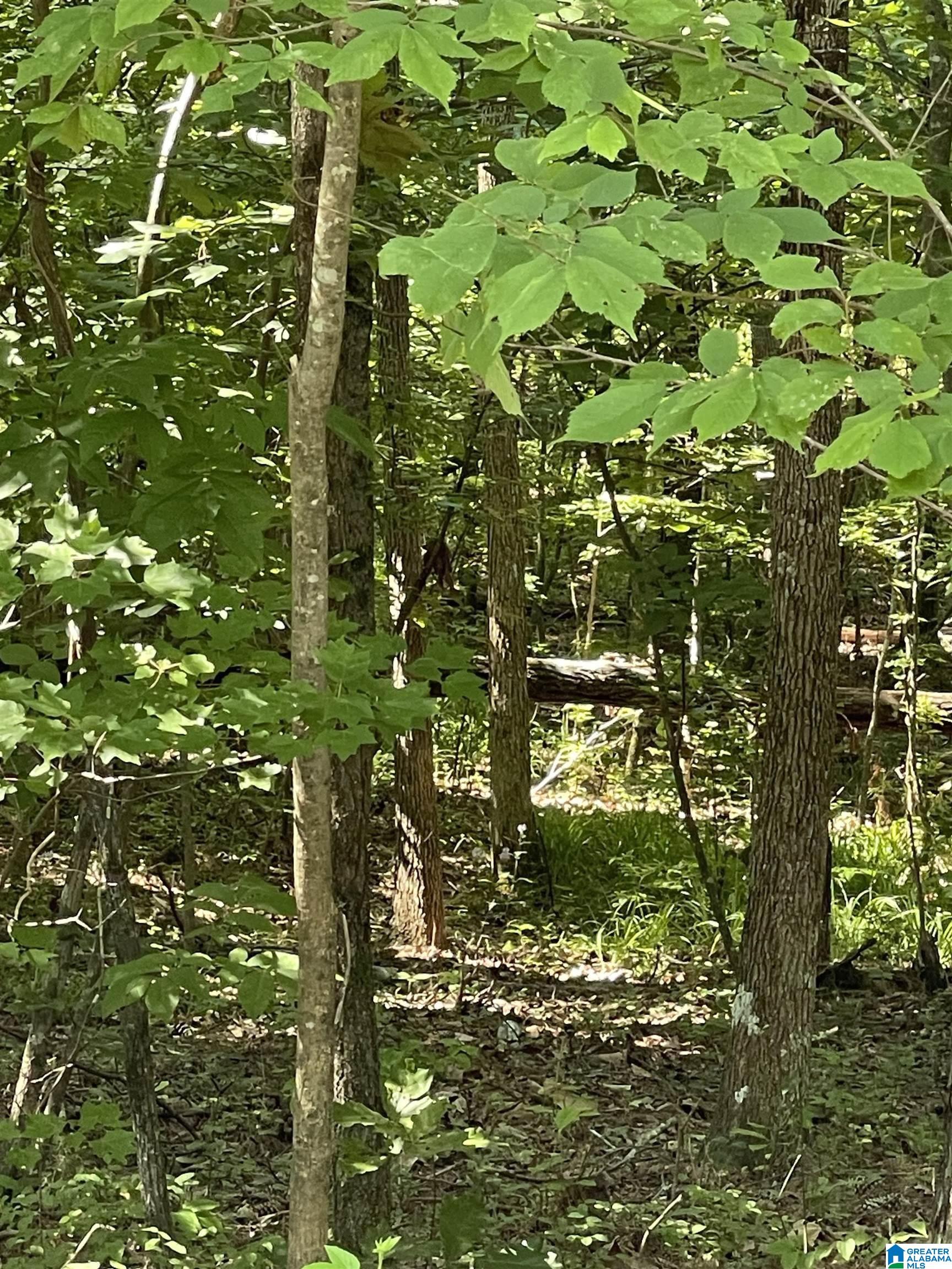 Homes for sale in Pinson, AL | 8596 Woodview Lane, Pinson, AL 35126 | MLS# 21430506