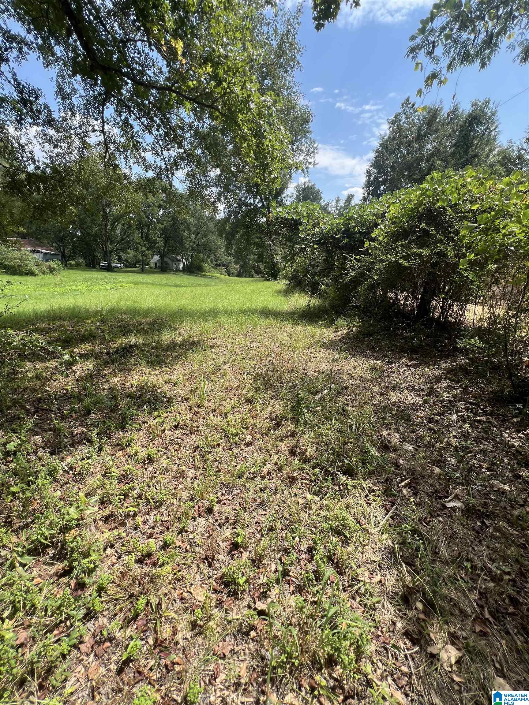 2475 COUNTY ROAD 228