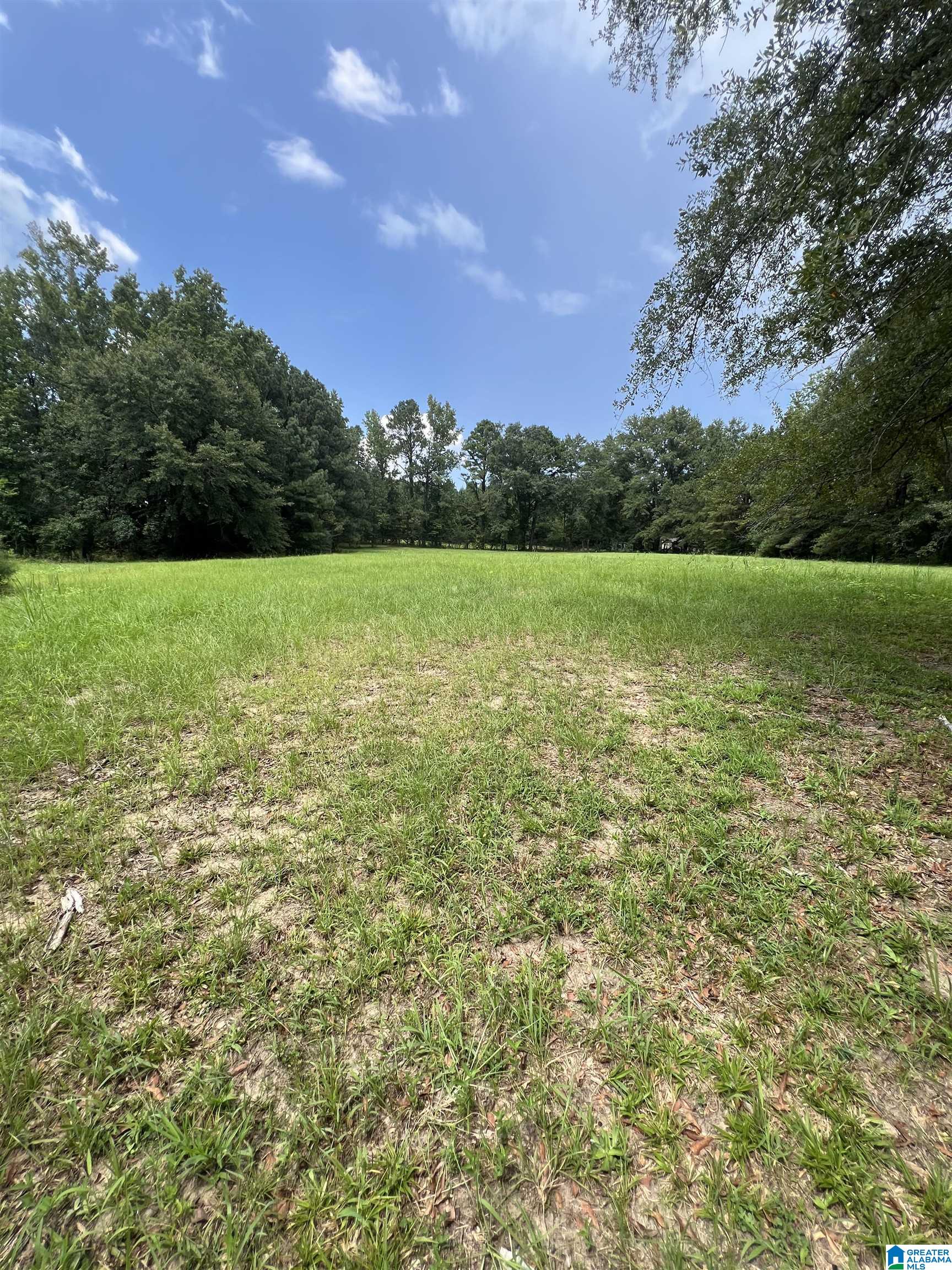 Homes for sale in Clanton, AL | 2475 County Road 228, Clanton, AL 35045 | MLS# 21430520