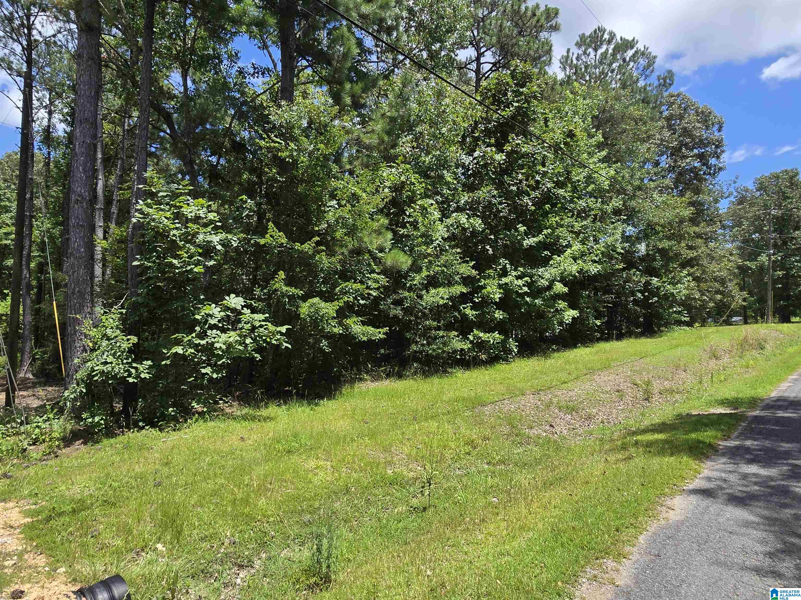 Homes for sale in Vincent, AL | 171 River Crest Dr, Vincent, AL 35178 | MLS# 21430606