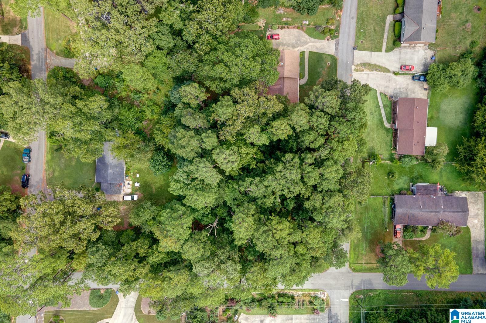 Homes for sale in Hoover, AL | 1924 Charlotte Dr, Hoover, AL 35226 | MLS# 21430704