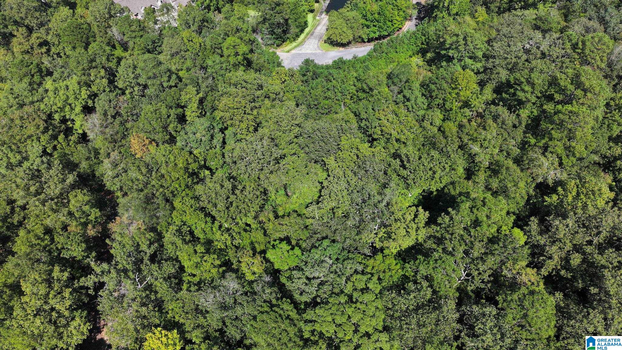 Homes for sale in Verbena, AL | Ridge Road, Verbena, AL 36091 | MLS# 21430738