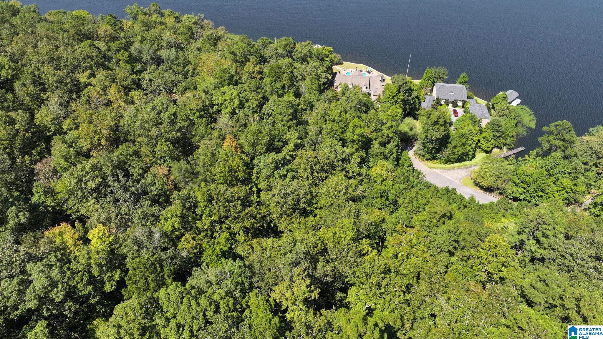 Homes for sale in Verbena, AL | Ridge Road, Verbena, AL 36091 | MLS# 21430738