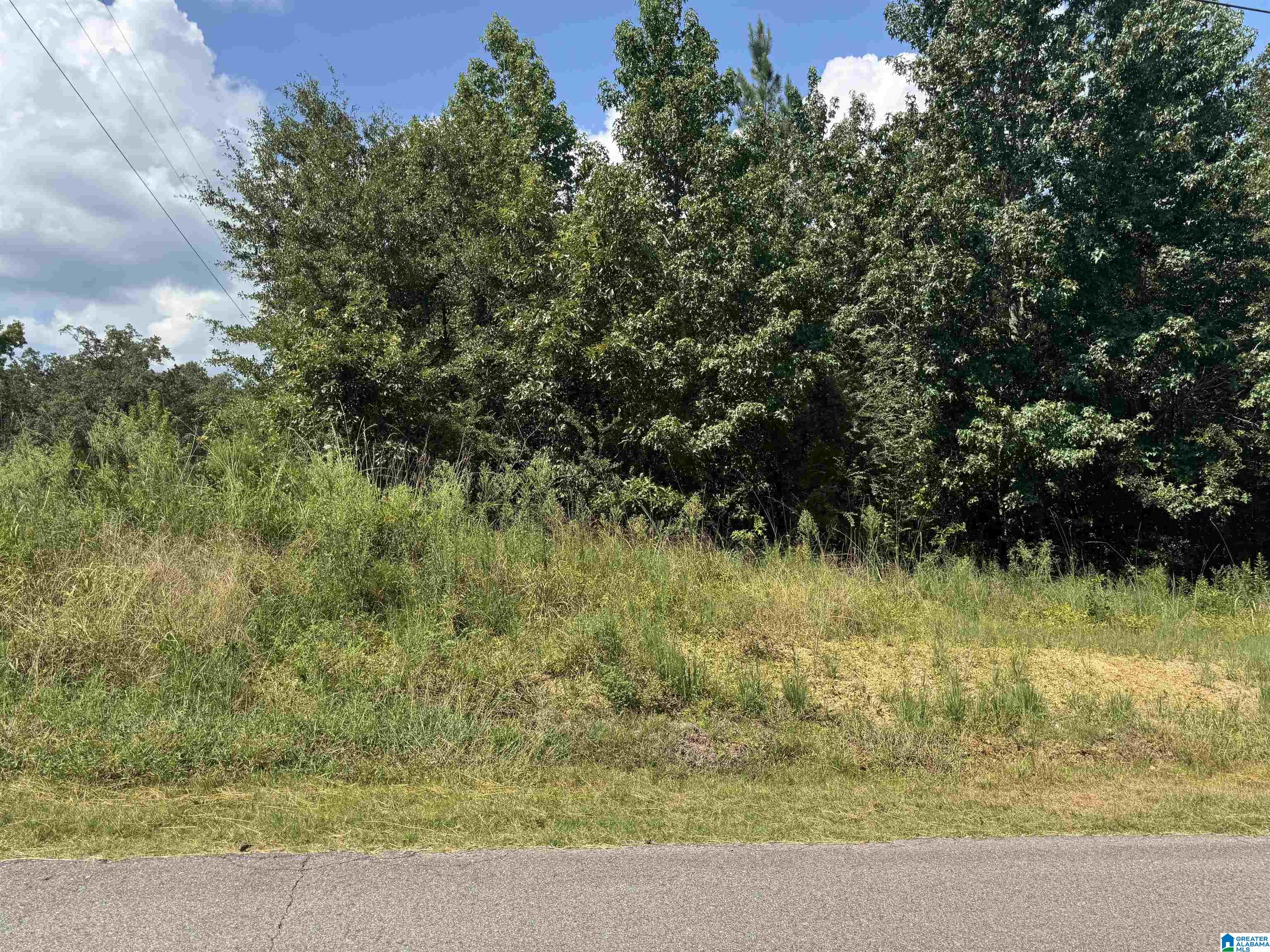 Homes for sale in Vance, AL | Short Town Road, Vance, AL 35490 | MLS# 21430756