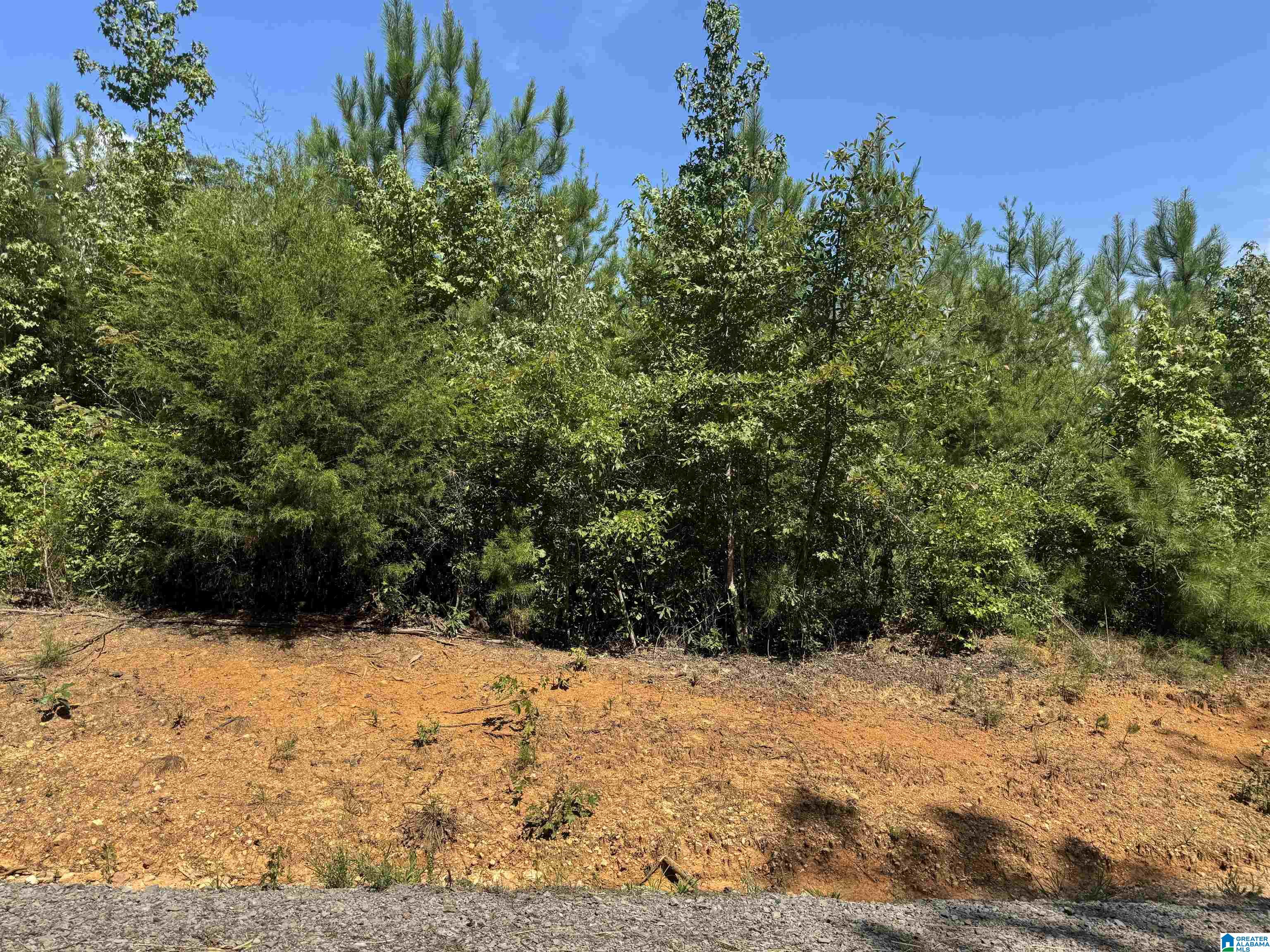 Homes for sale in Vance, AL | Short Town Road, Vance, AL 35490 | MLS# 21430756