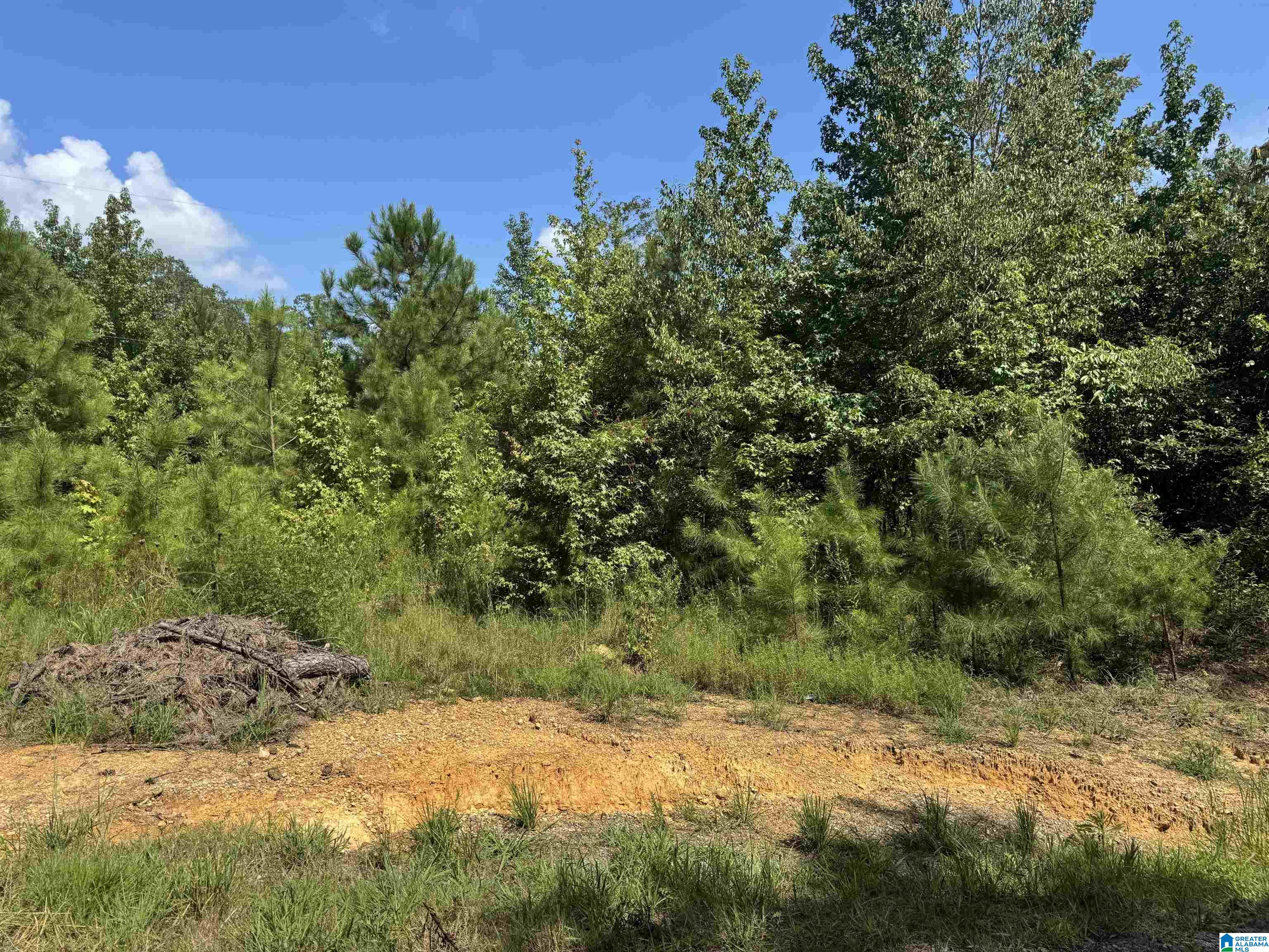 Homes for sale in Vance, AL | Short Town Road, Vance, AL 35490 | MLS# 21430756