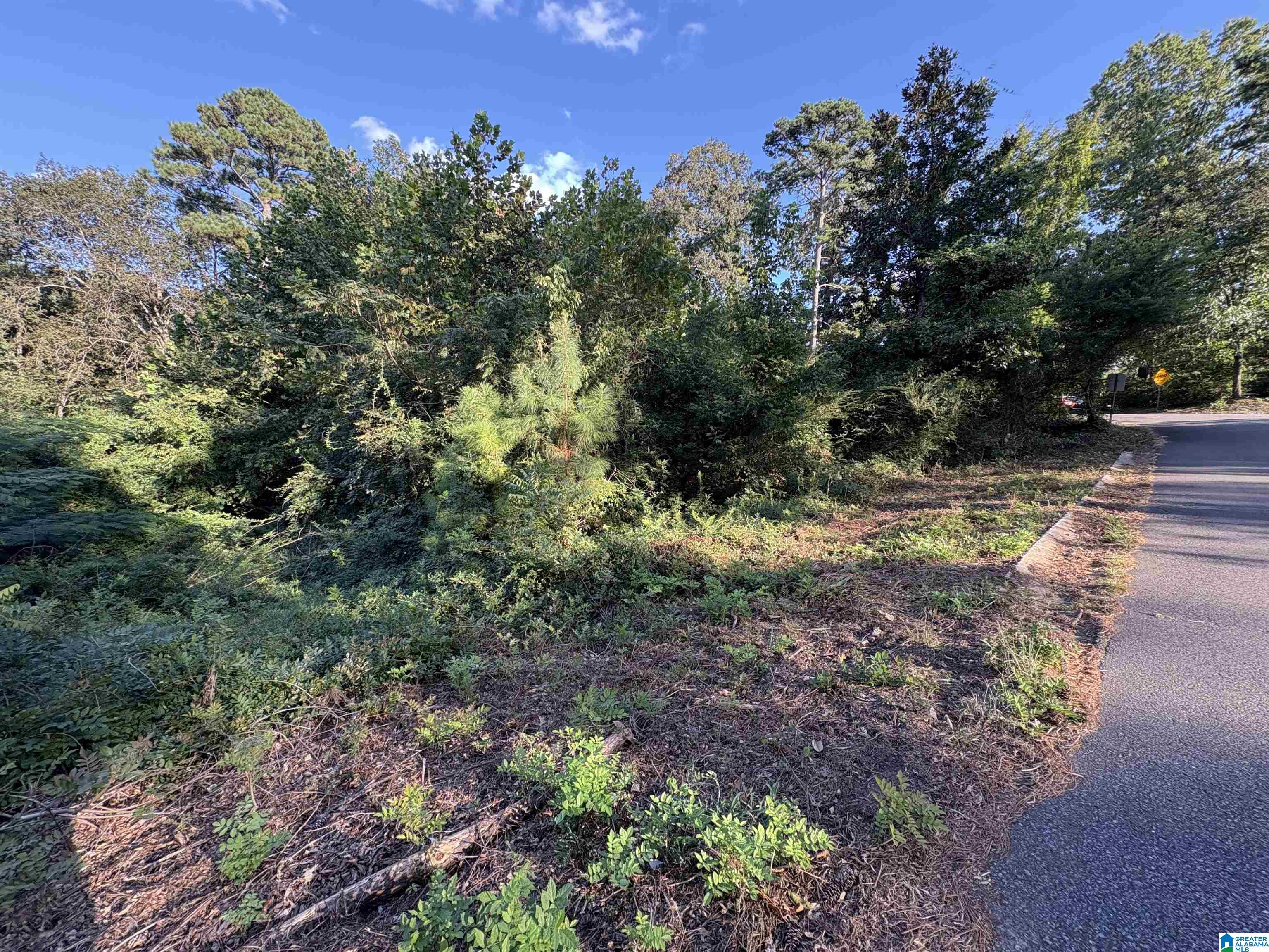 5385 PINECREST DRIVE