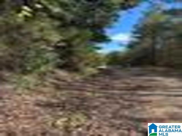 Homes for sale in Heflin, AL | 580 County Road 209, Heflin, AL 36264 | MLS# 21430763