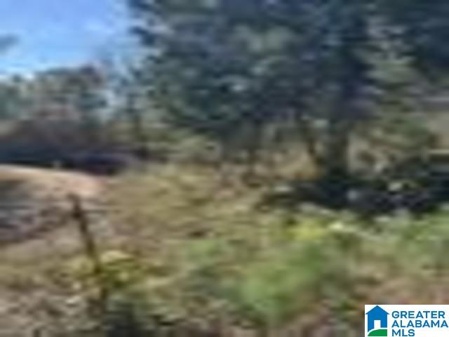 Homes for sale in Heflin, AL | 580 County Road 209, Heflin, AL 36264 | MLS# 21430763