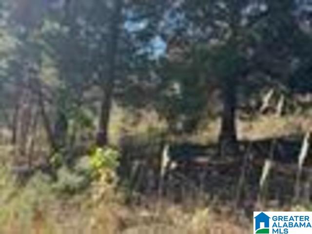 Homes for sale in Heflin, AL | 580 County Road 209, Heflin, AL 36264 | MLS# 21430763