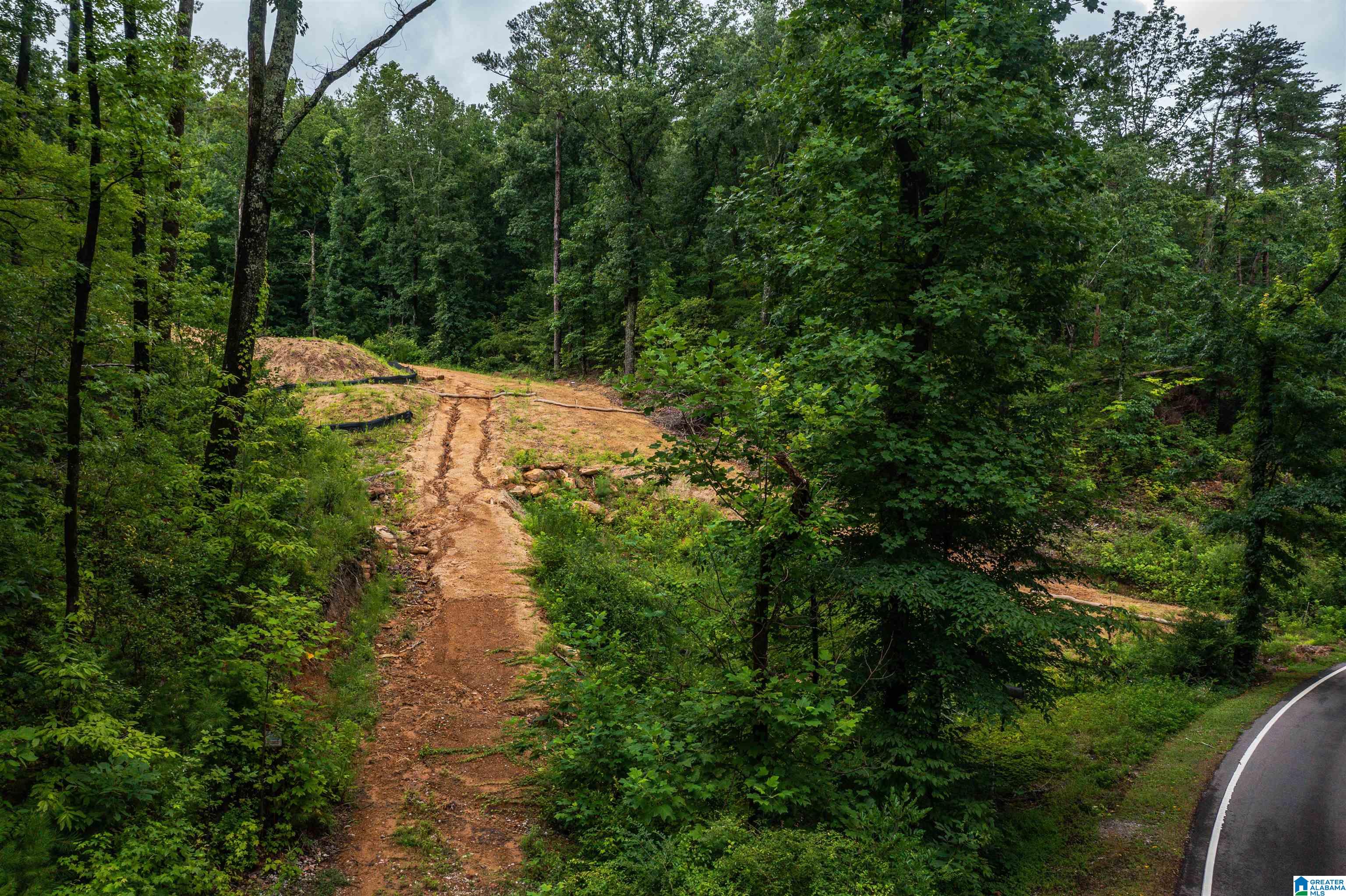 Homes for sale in Mountain Brk, AL | 2841 Cherokee Road, Mountain Brk, AL 35223 | MLS# 21430776