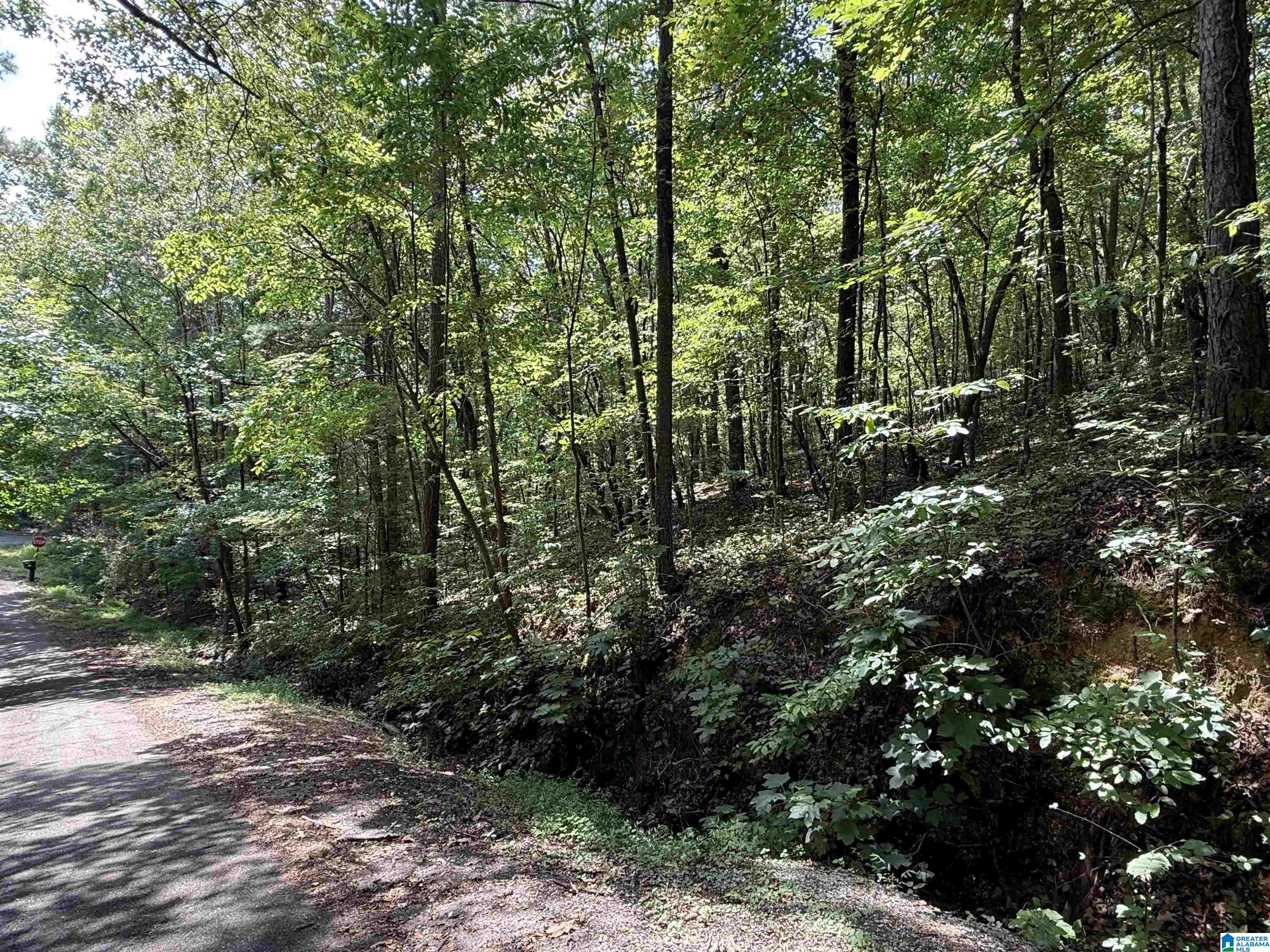 Homes for sale in Glencoe, AL | Lot 11 Davis Dr, Glencoe, AL 35904 | MLS# 21430793