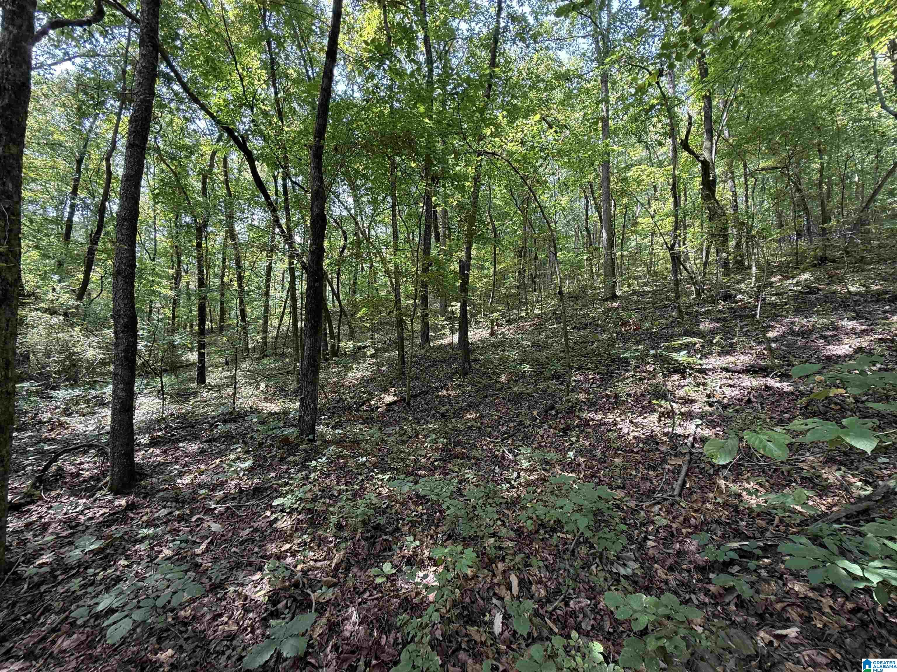 Homes for sale in Glencoe, AL | Lot 11 Davis Dr, Glencoe, AL 35904 | MLS# 21430793