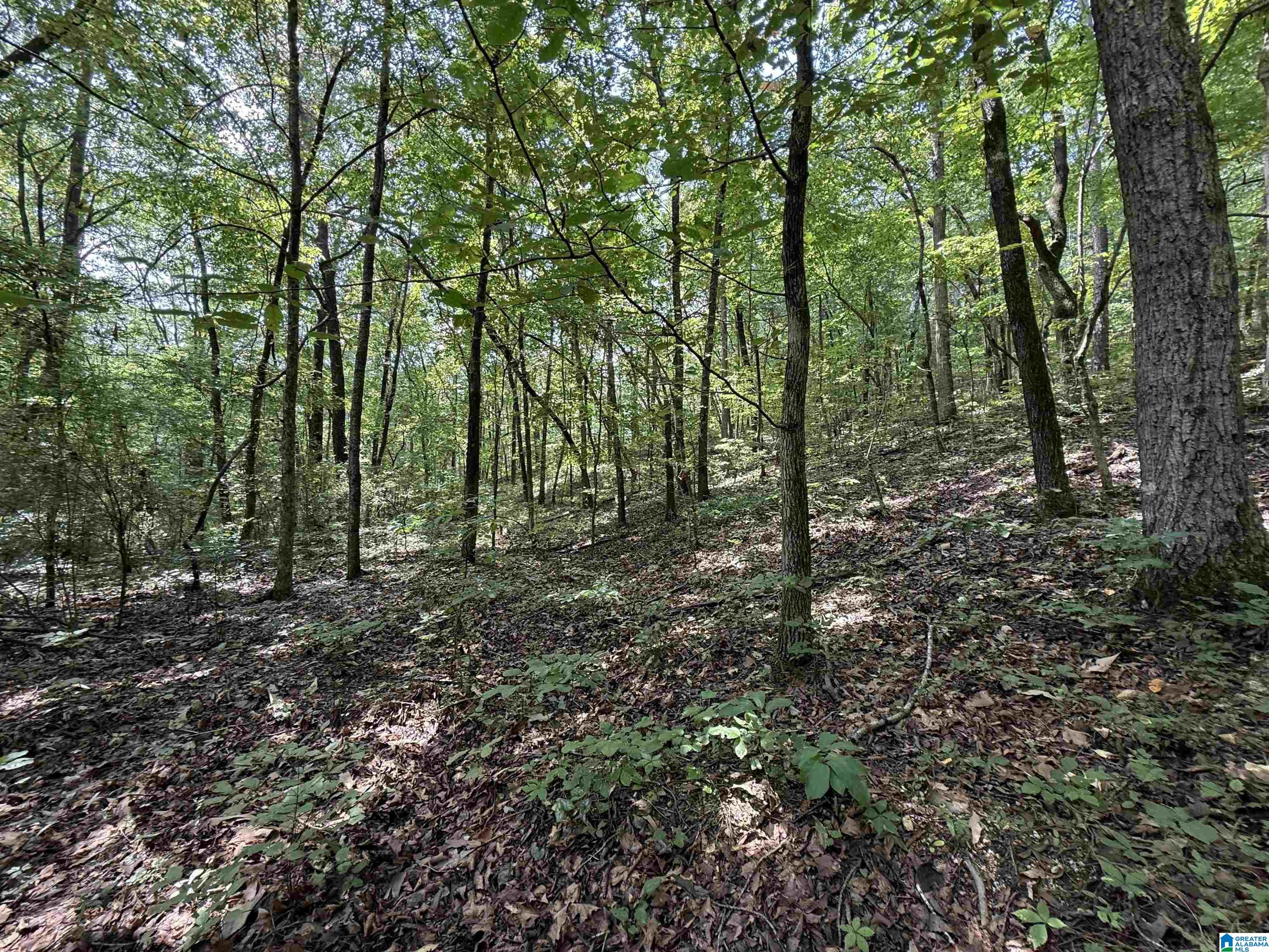 Homes for sale in Glencoe, AL | Lot 11 Davis Dr, Glencoe, AL 35904 | MLS# 21430793