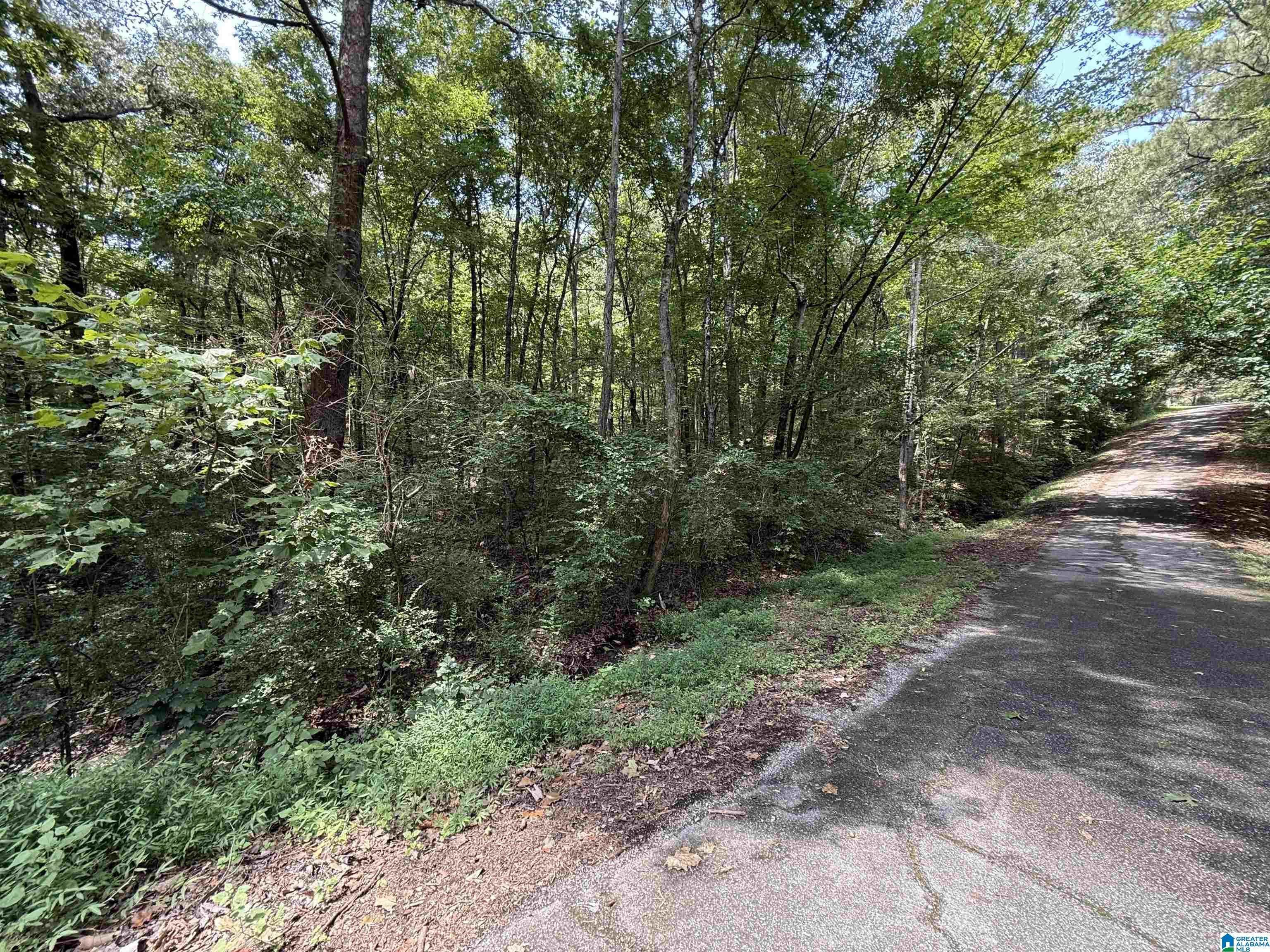 Homes for sale in Glencoe, AL | Lot 11 Davis Dr, Glencoe, AL 35904 | MLS# 21430793