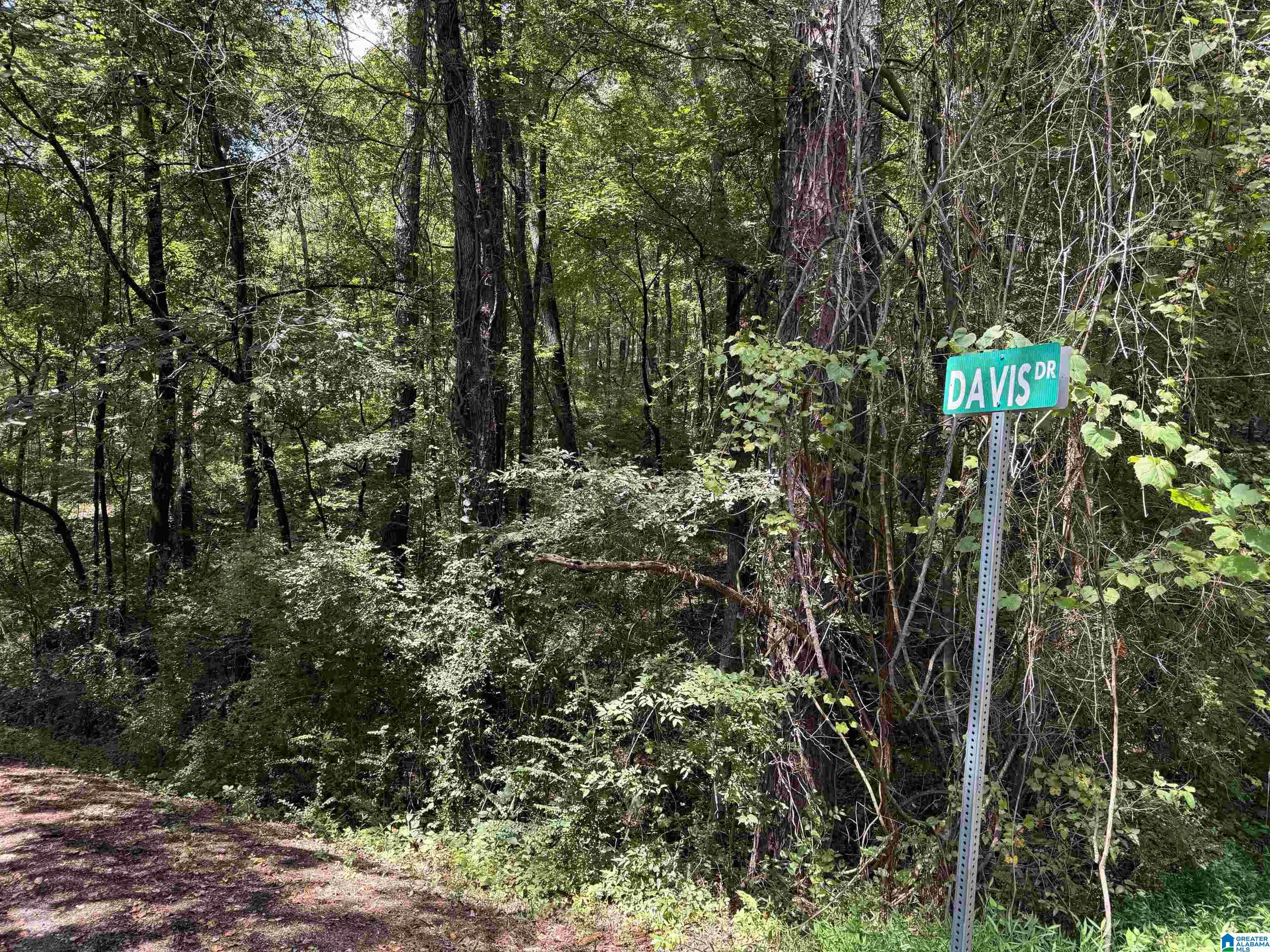 Homes for sale in Glencoe, AL | Lot 11 Davis Dr, Glencoe, AL 35904 | MLS# 21430793