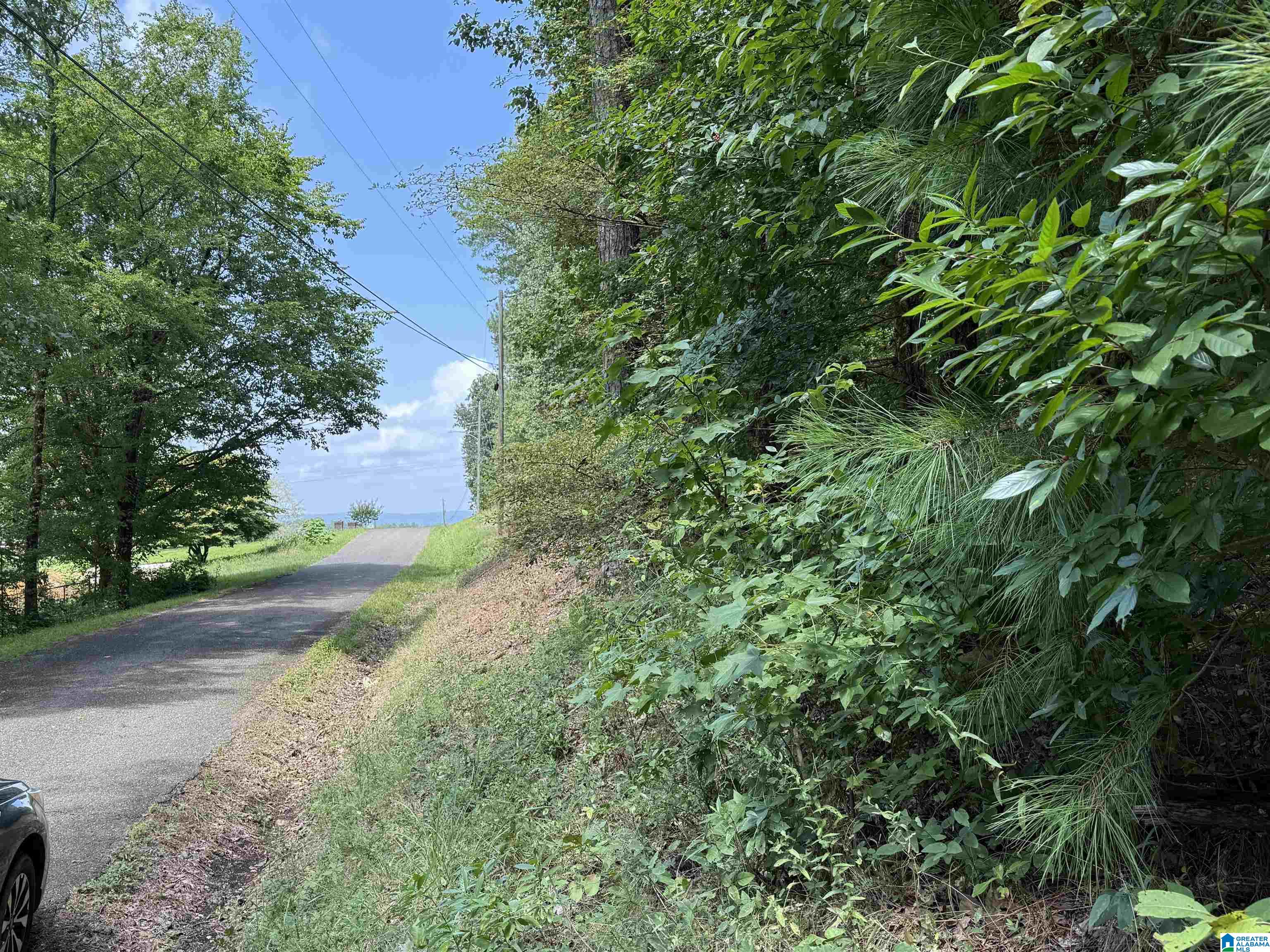 Homes for sale in Glencoe, AL | Lot 15 Davis Dr, Glencoe, AL 35904 | MLS# 21430796