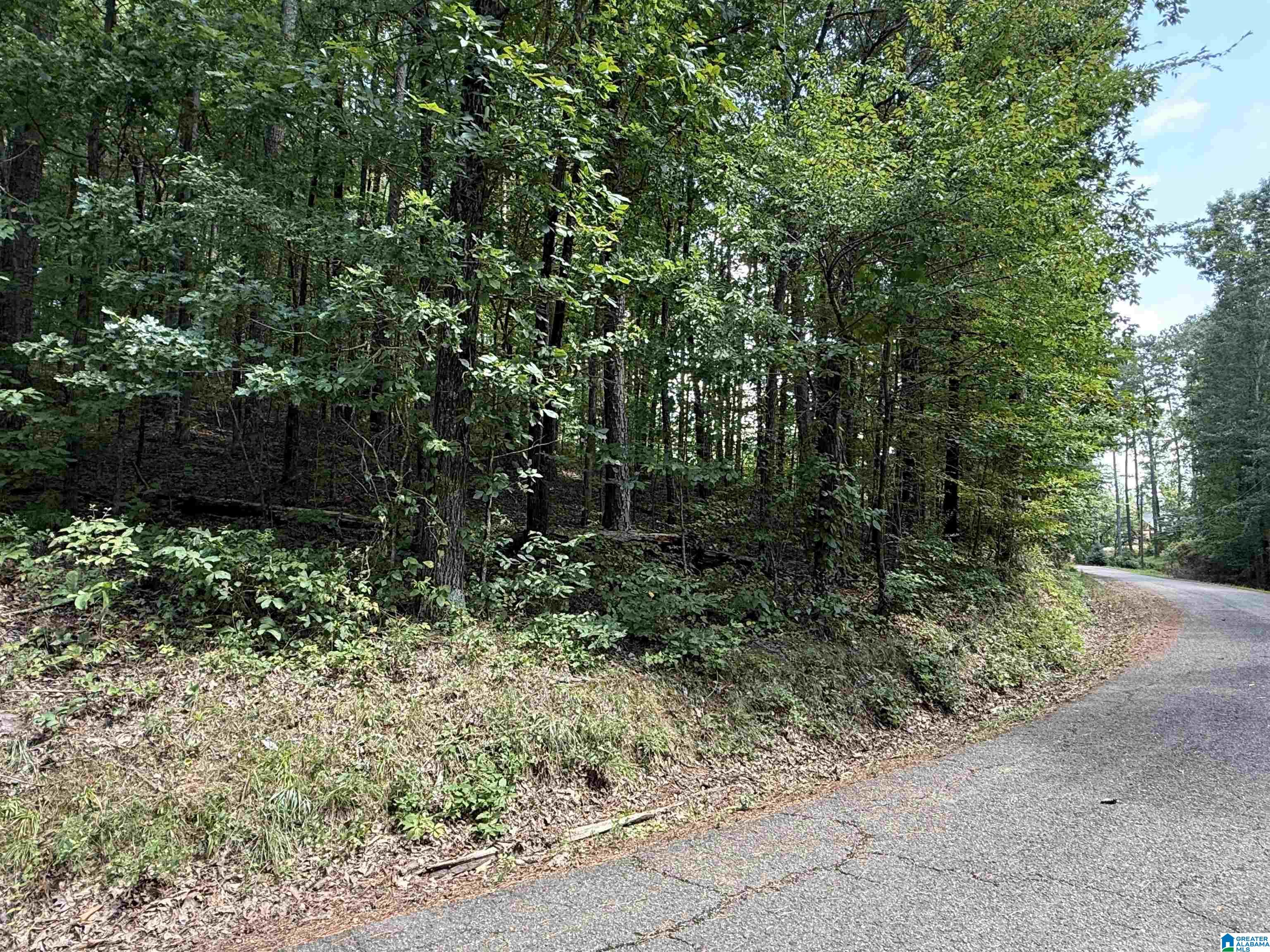 Homes for sale in Glencoe, AL | Lot 15 Davis Dr, Glencoe, AL 35904 | MLS# 21430796