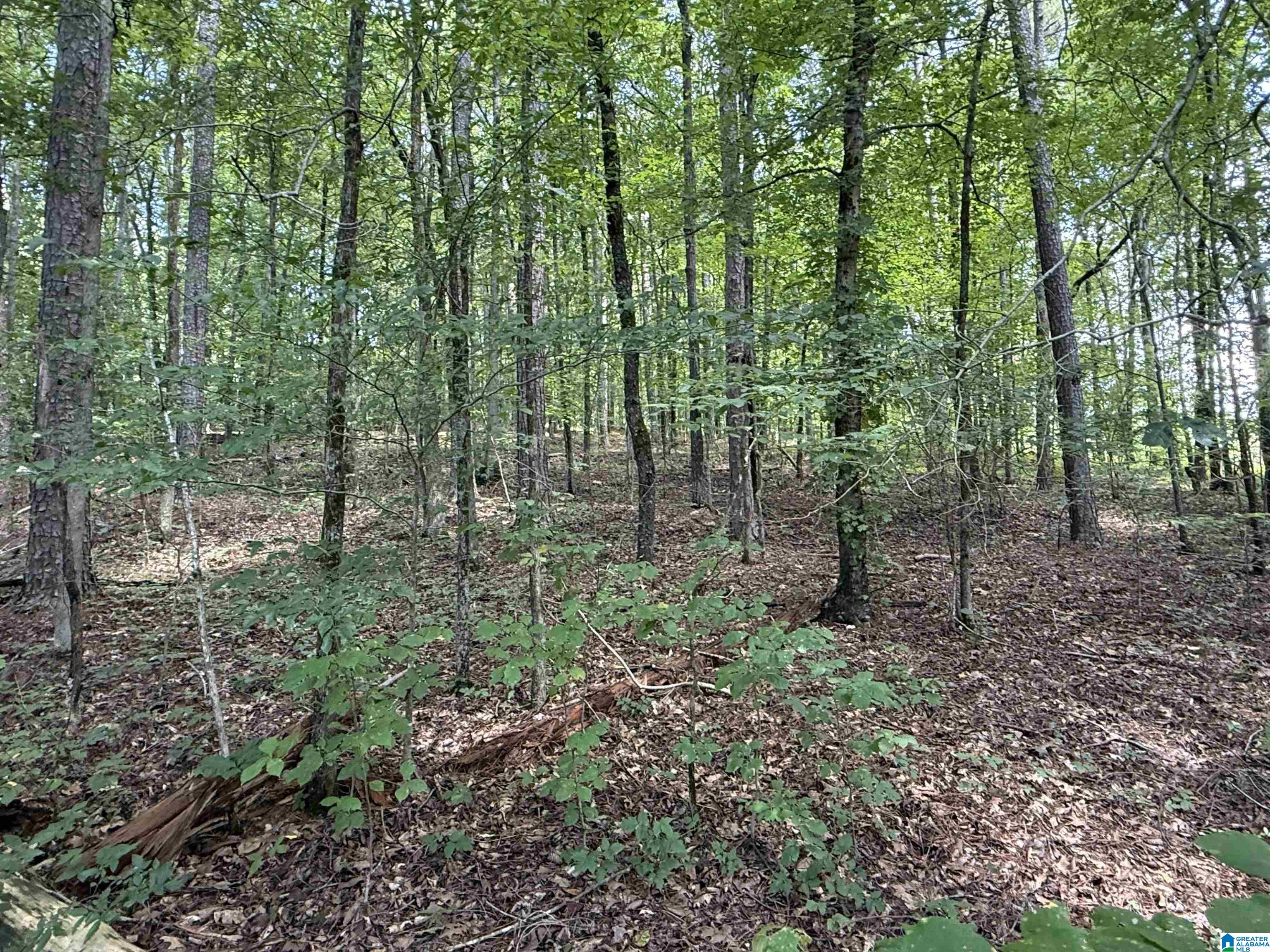 Homes for sale in Glencoe, AL | Lot 15 Davis Dr, Glencoe, AL 35904 | MLS# 21430796