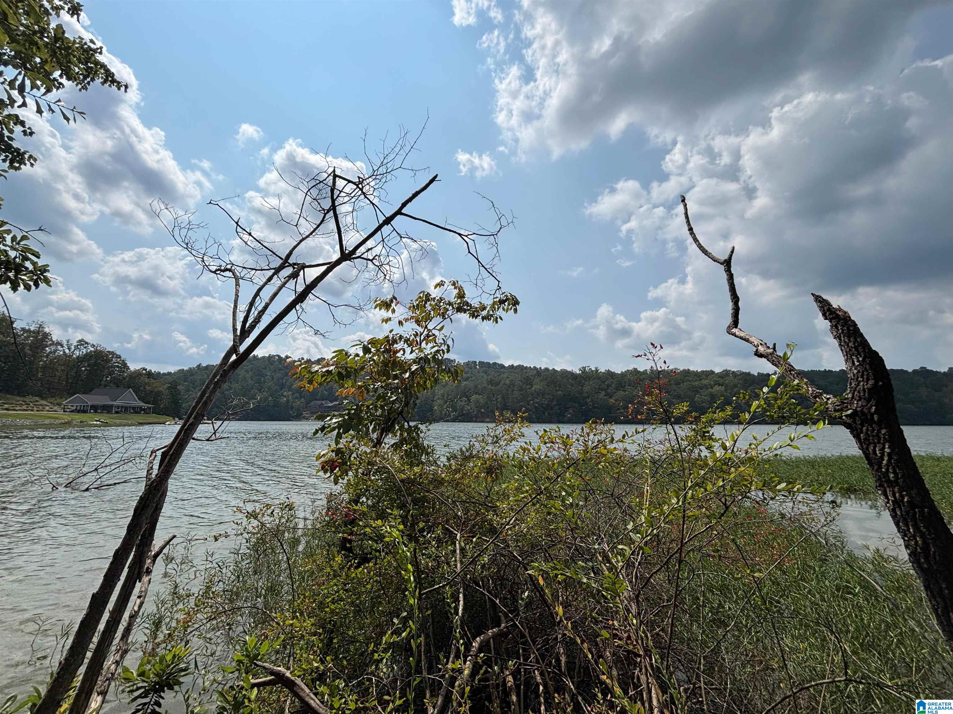 Homes for sale in Ashville, AL | 0 Gibson Cove Dr, Ashville, AL 35953 | MLS# 21430812